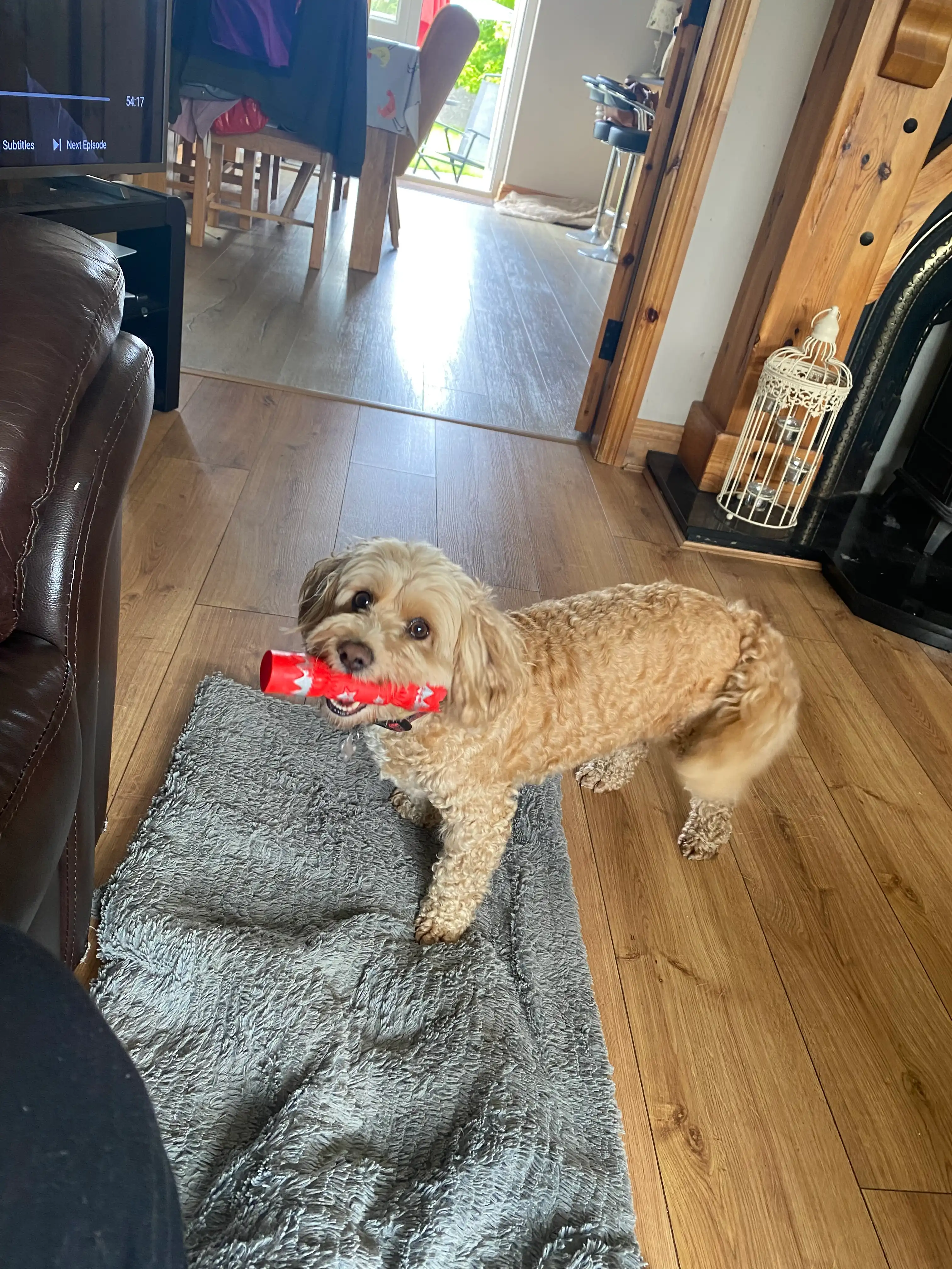 image-10