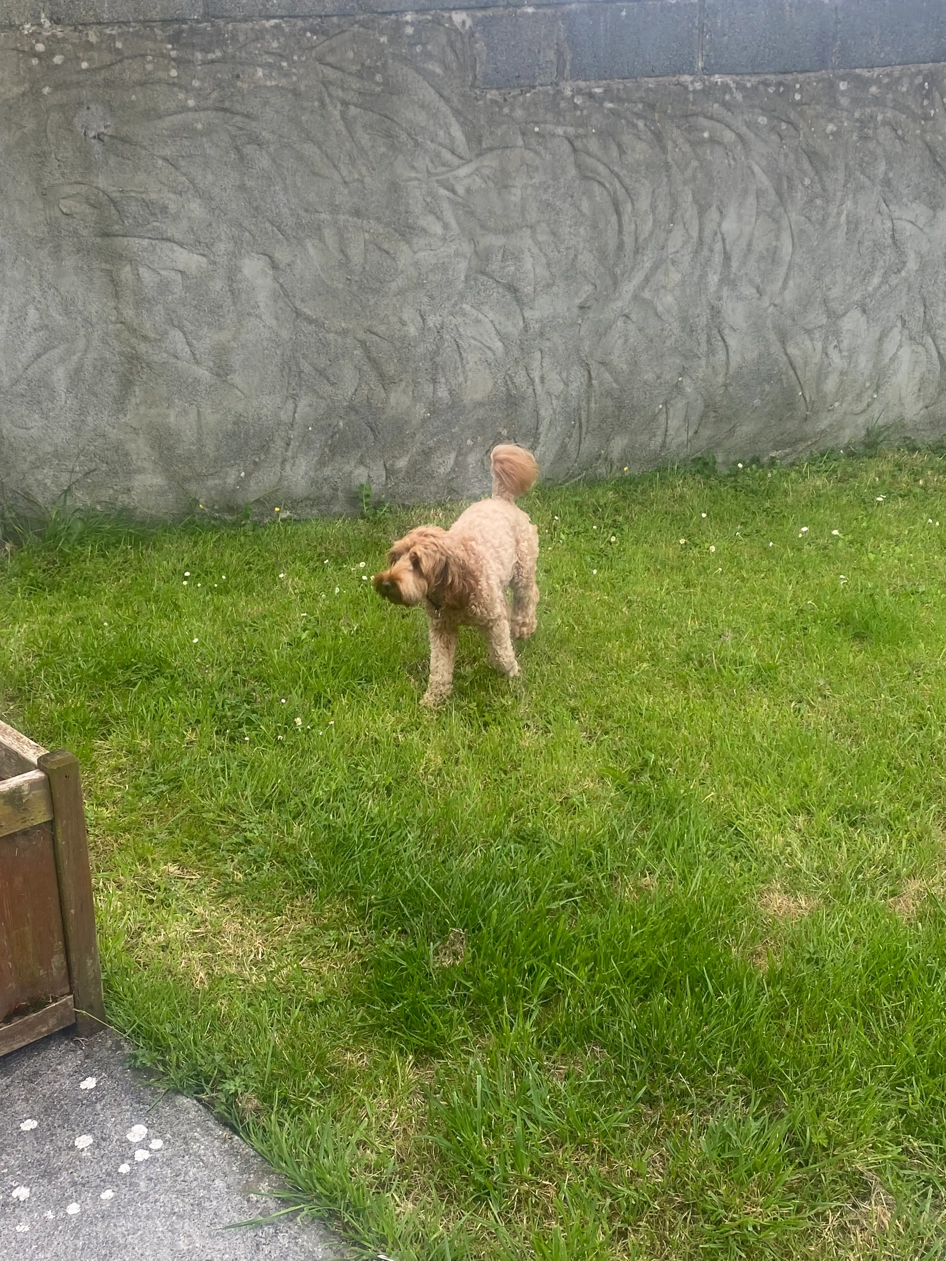 image-20