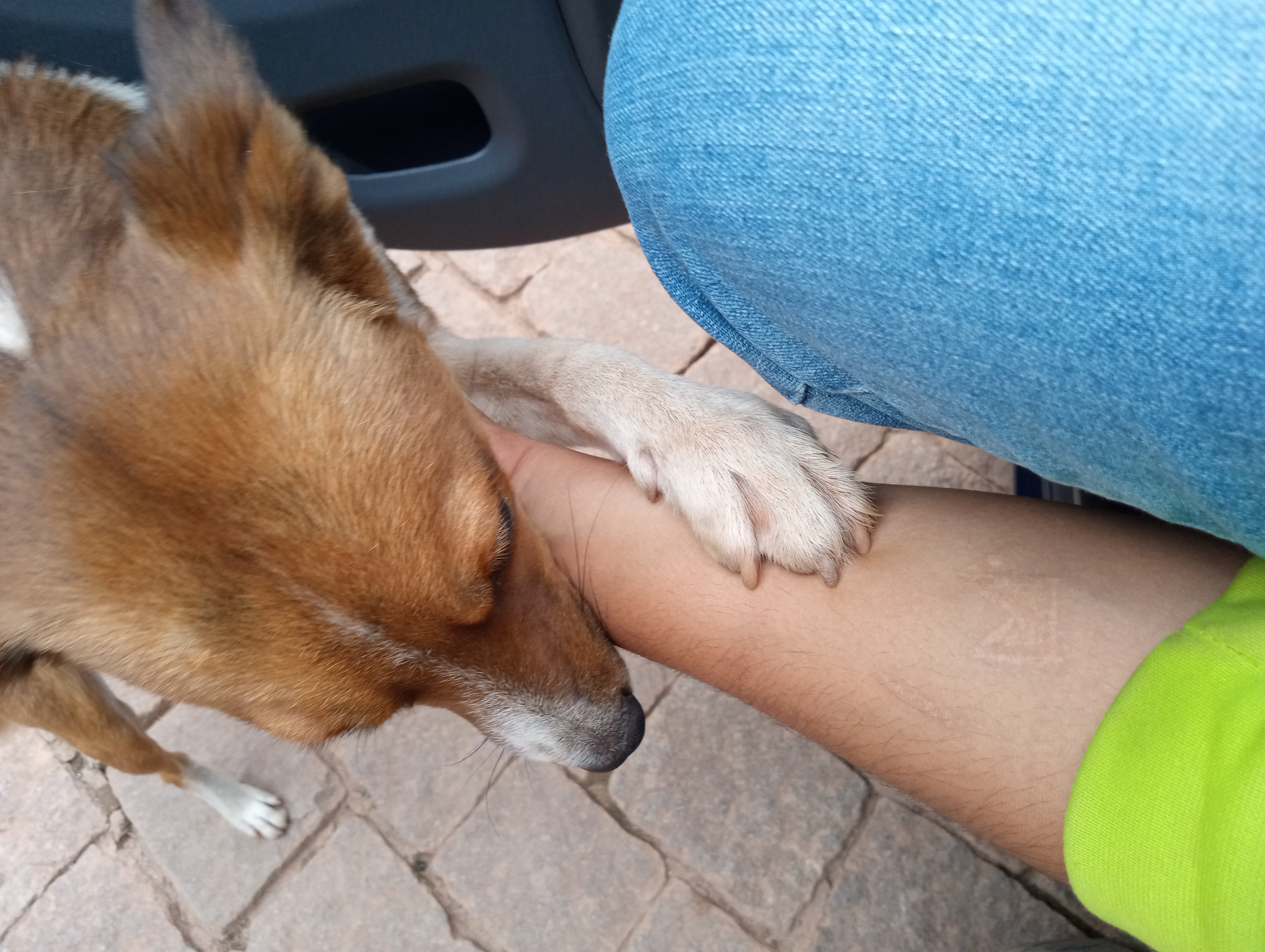 image-6