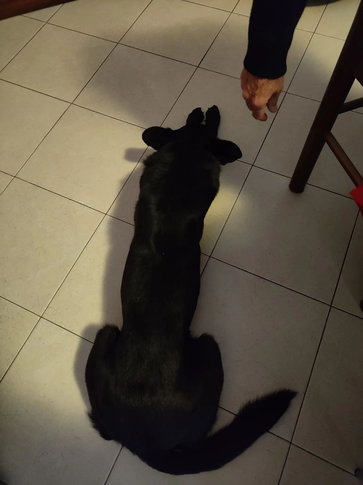 image-18