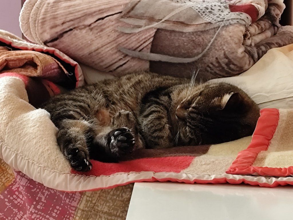 image-6