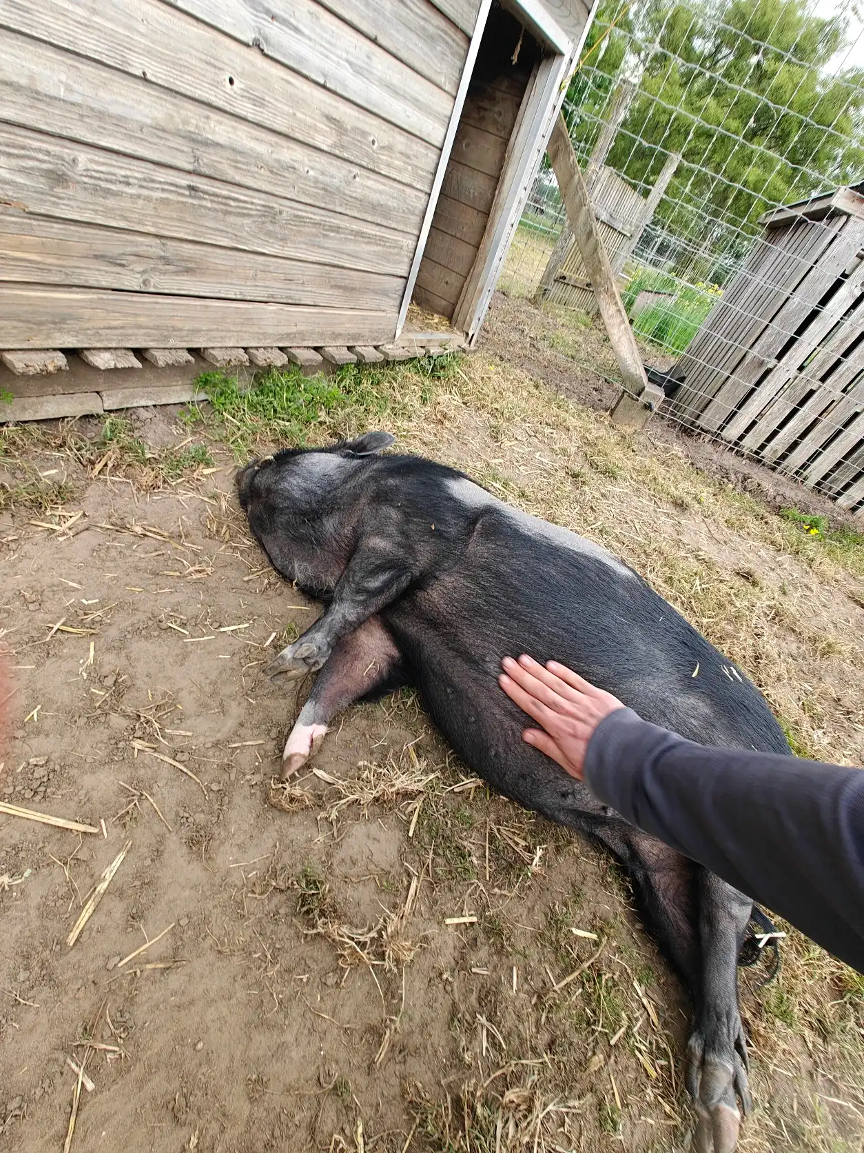 image-6