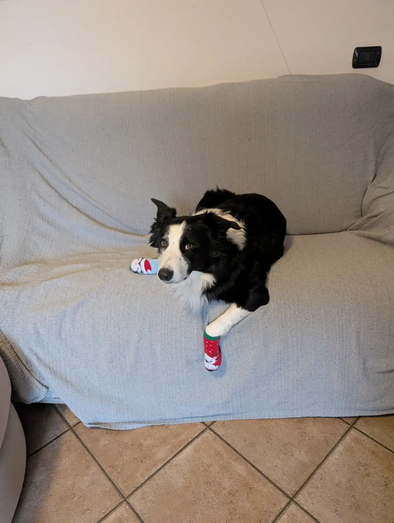 image-17