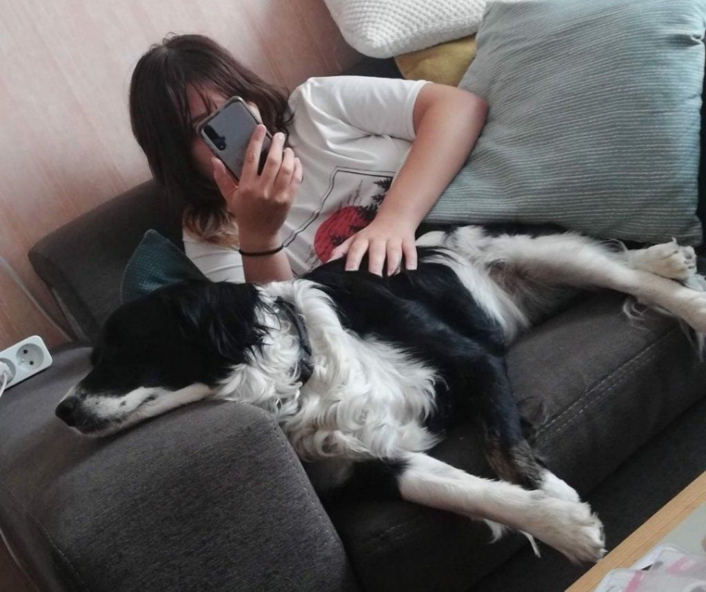 image-5