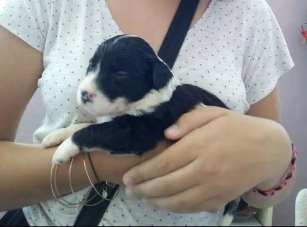 image-7