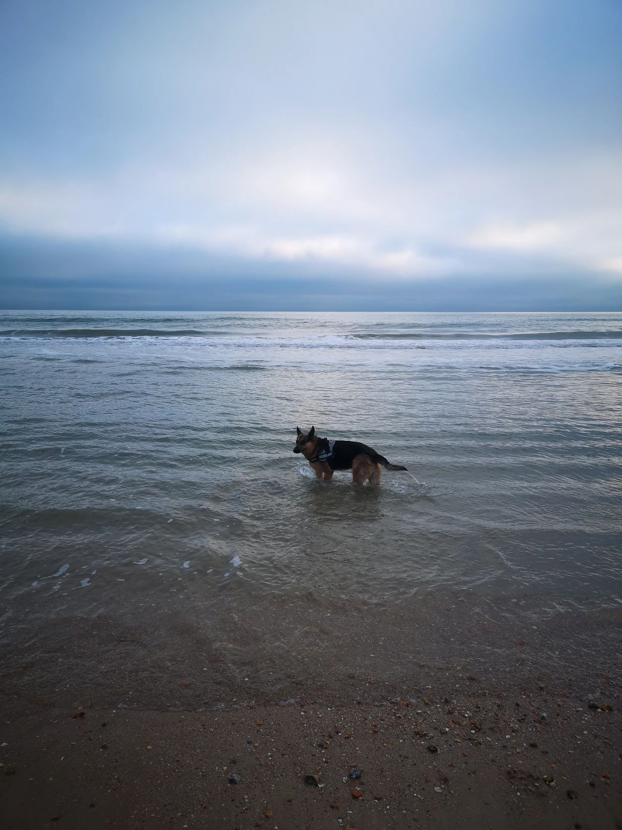 image-15