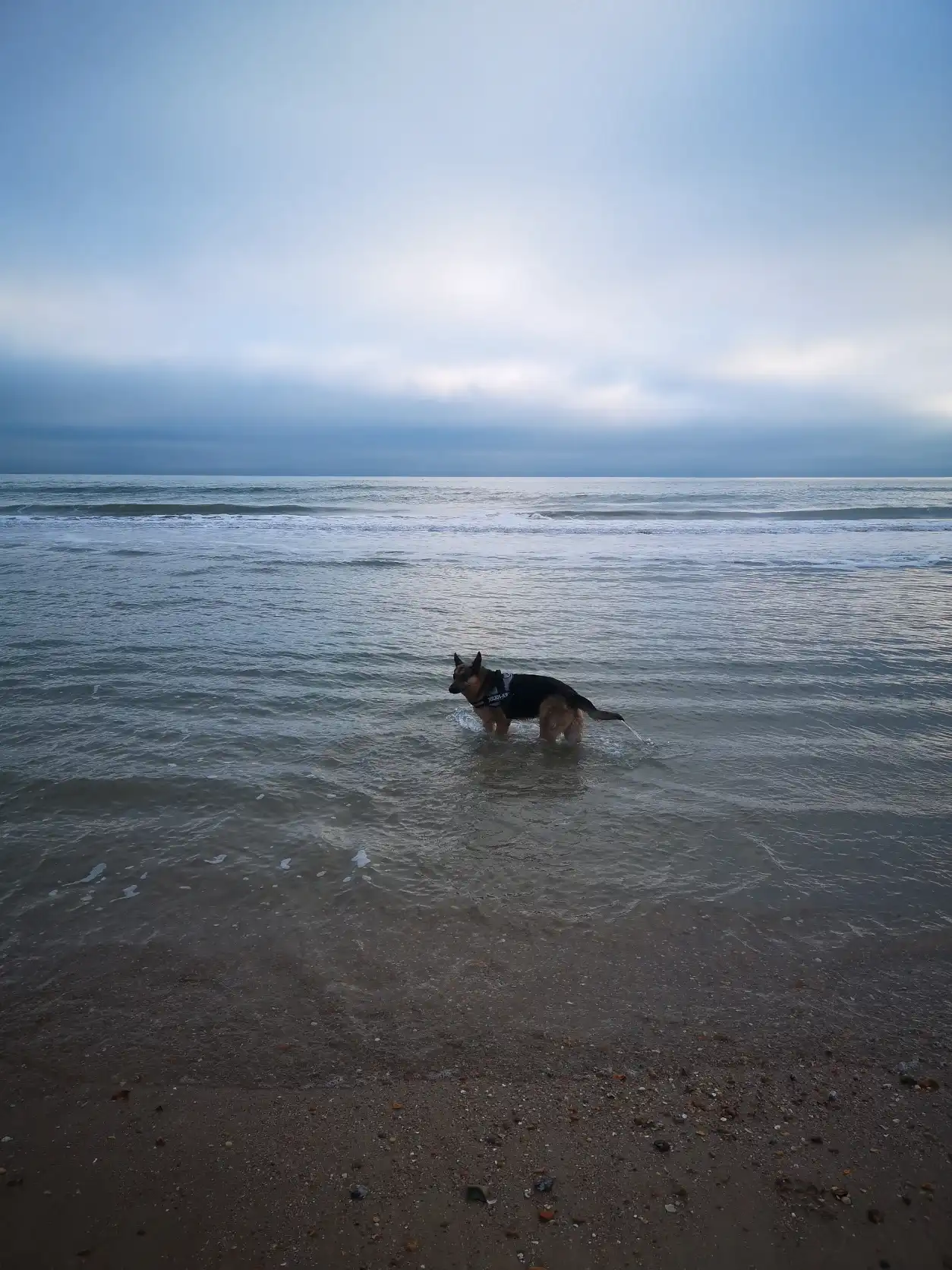 image-15