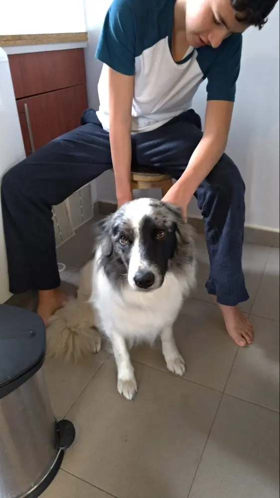 image-3
