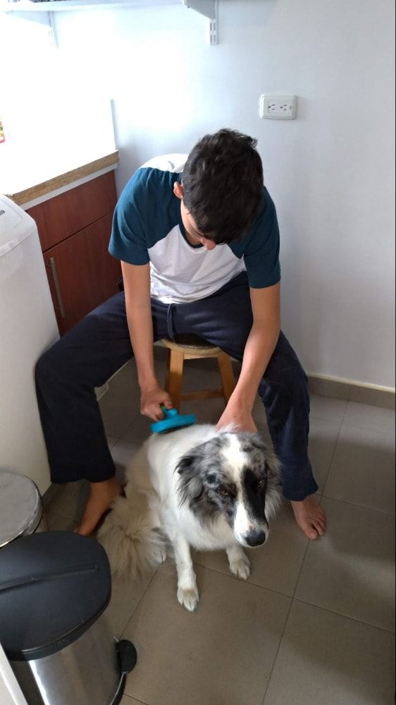 image-4