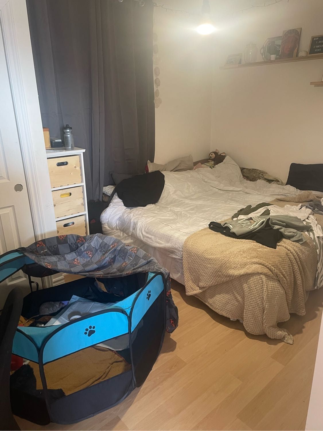 image-13