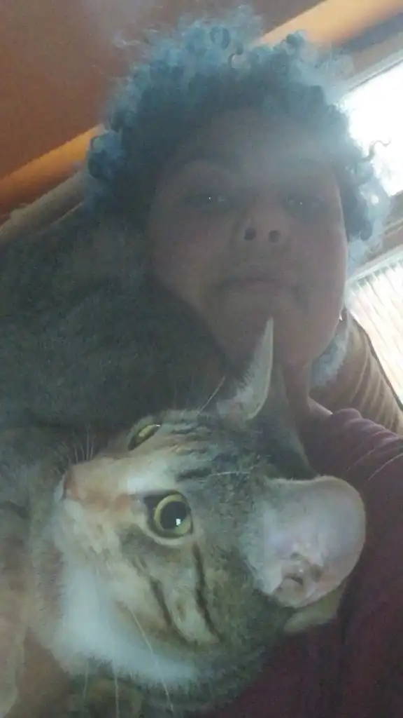 image-7