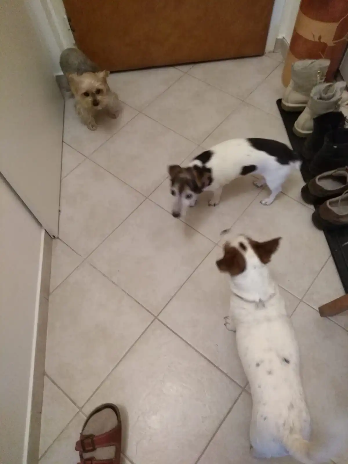 image-13