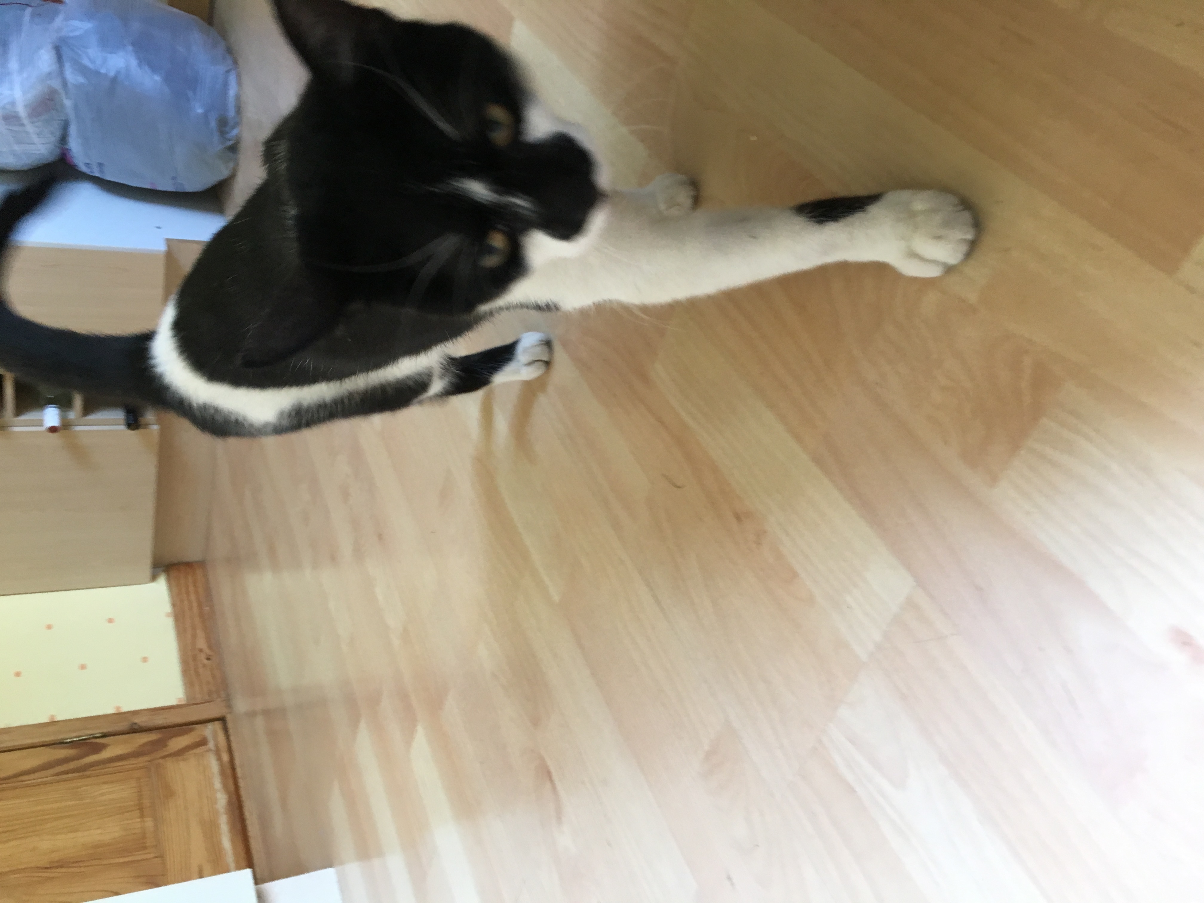 image-7