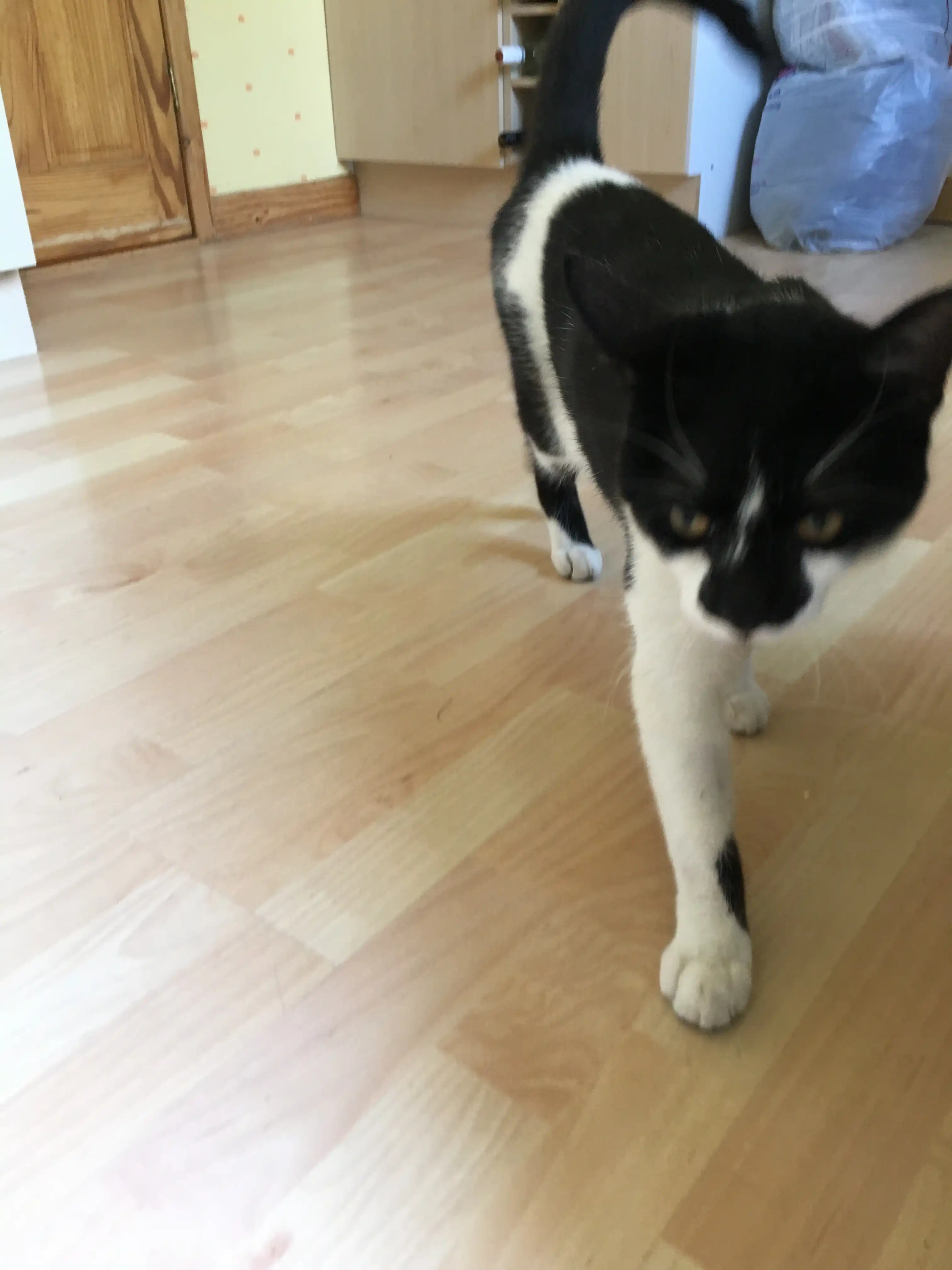 image-7