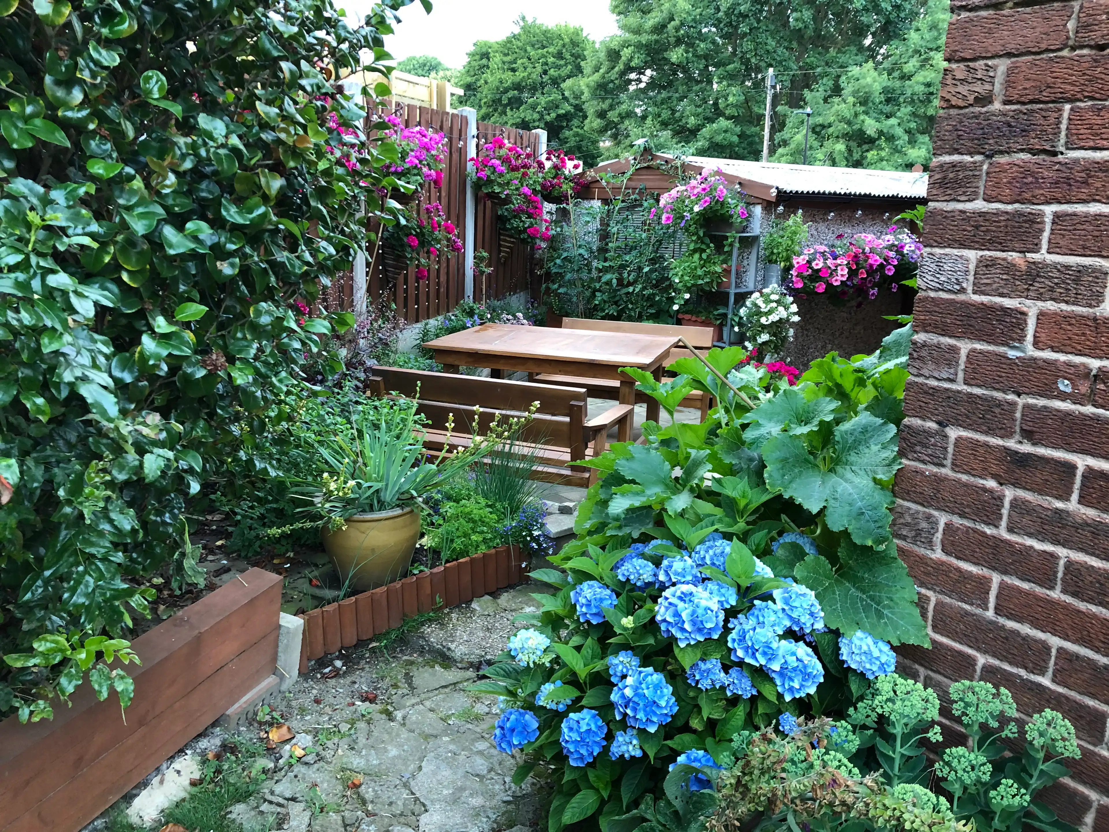 image-17