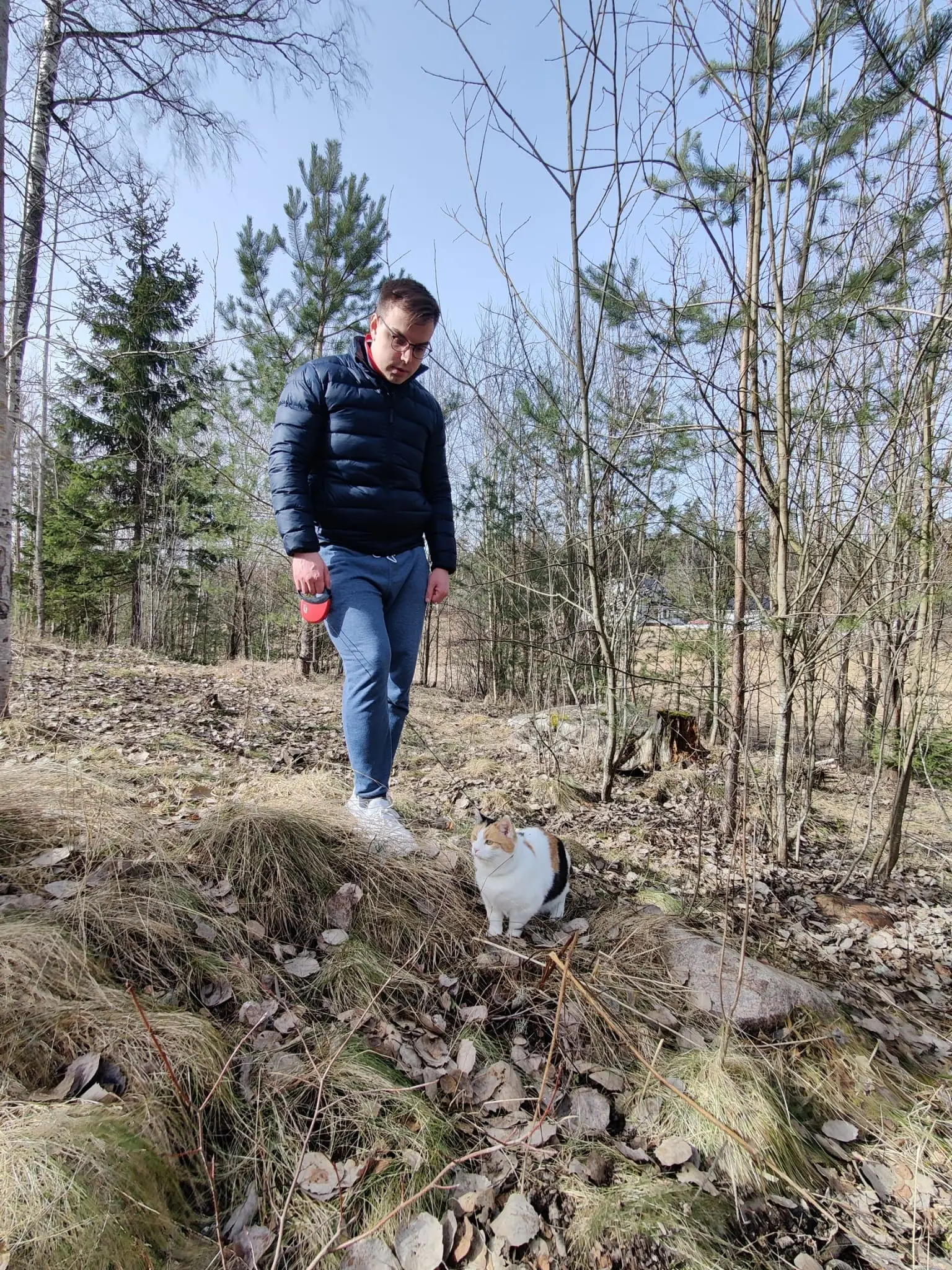 image-3