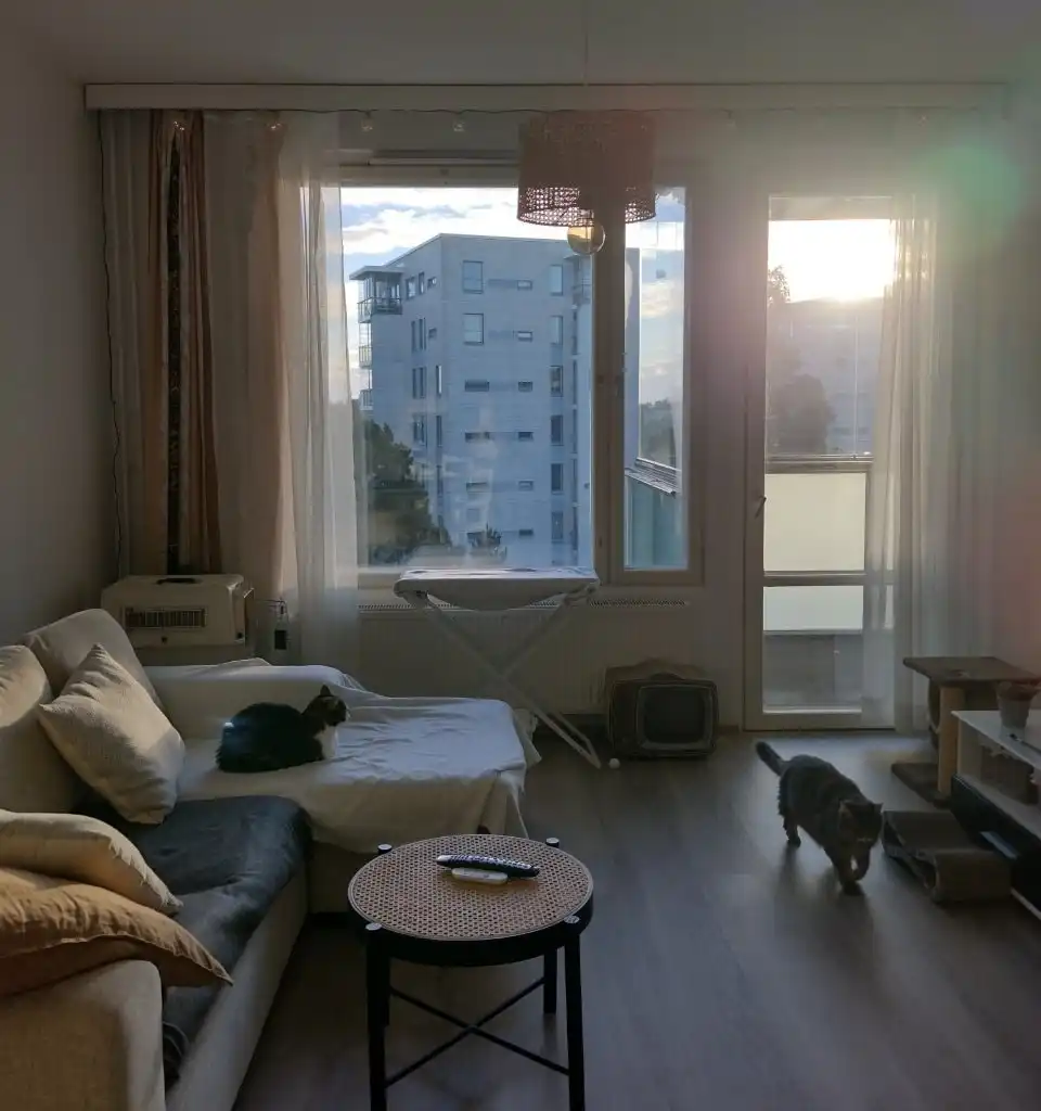 image-17