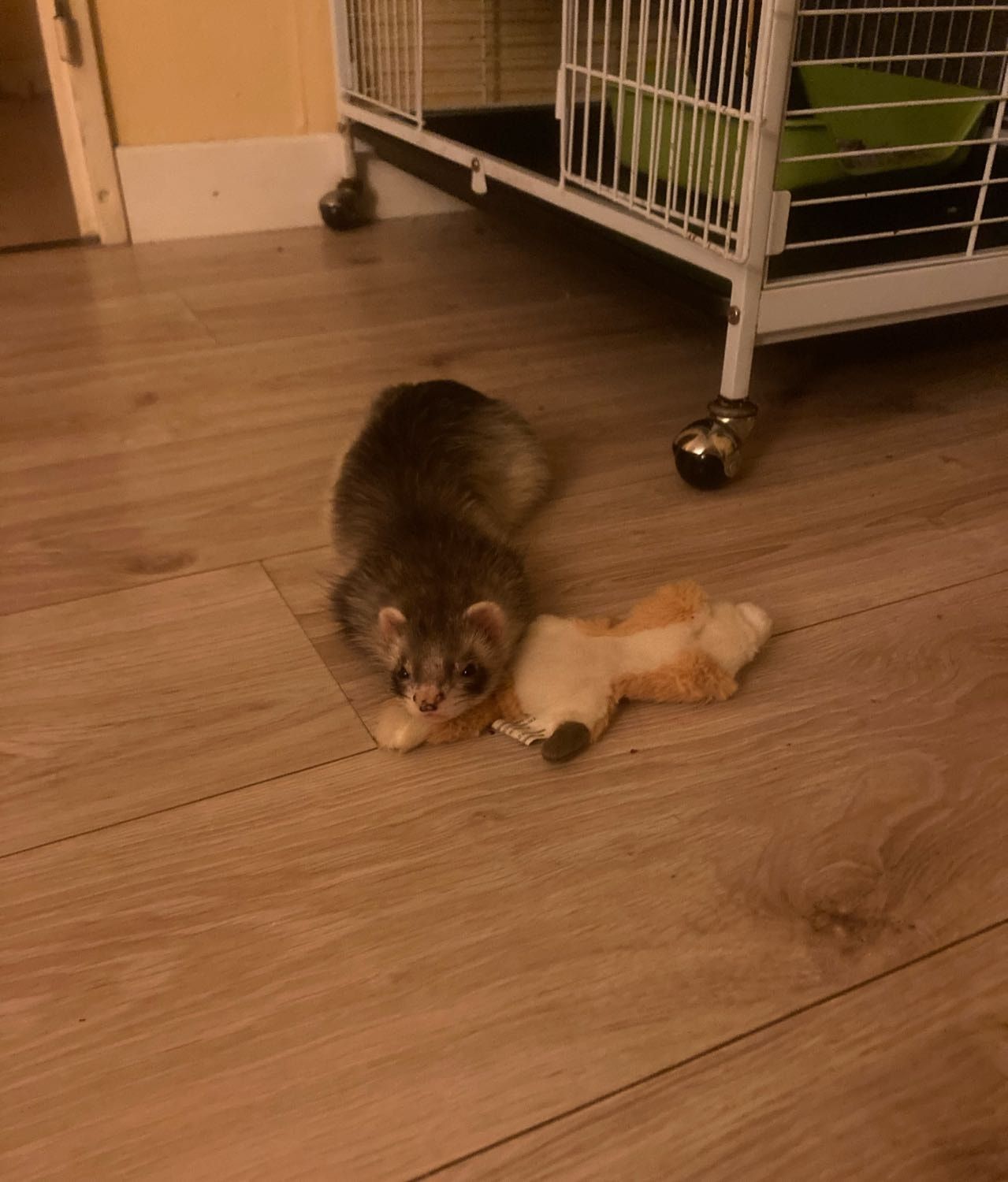 image-8
