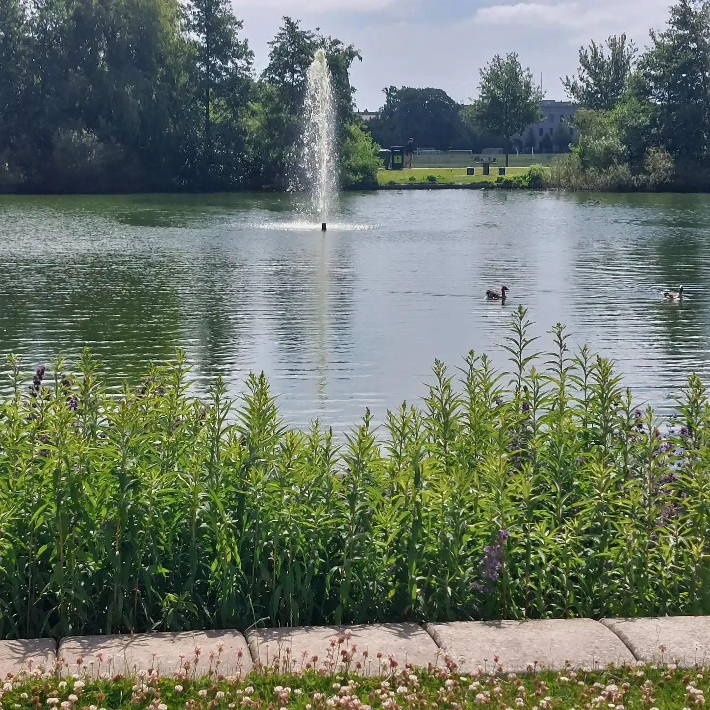 image-18