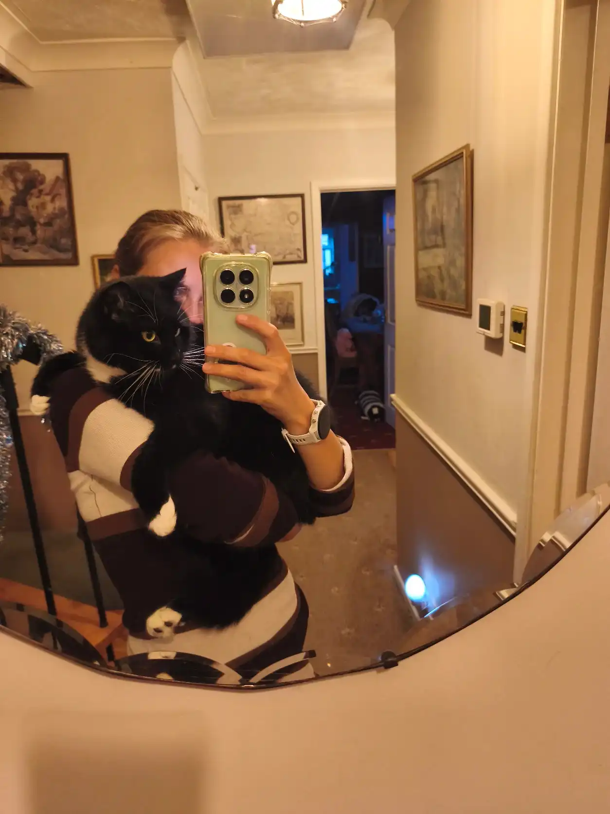 image-7