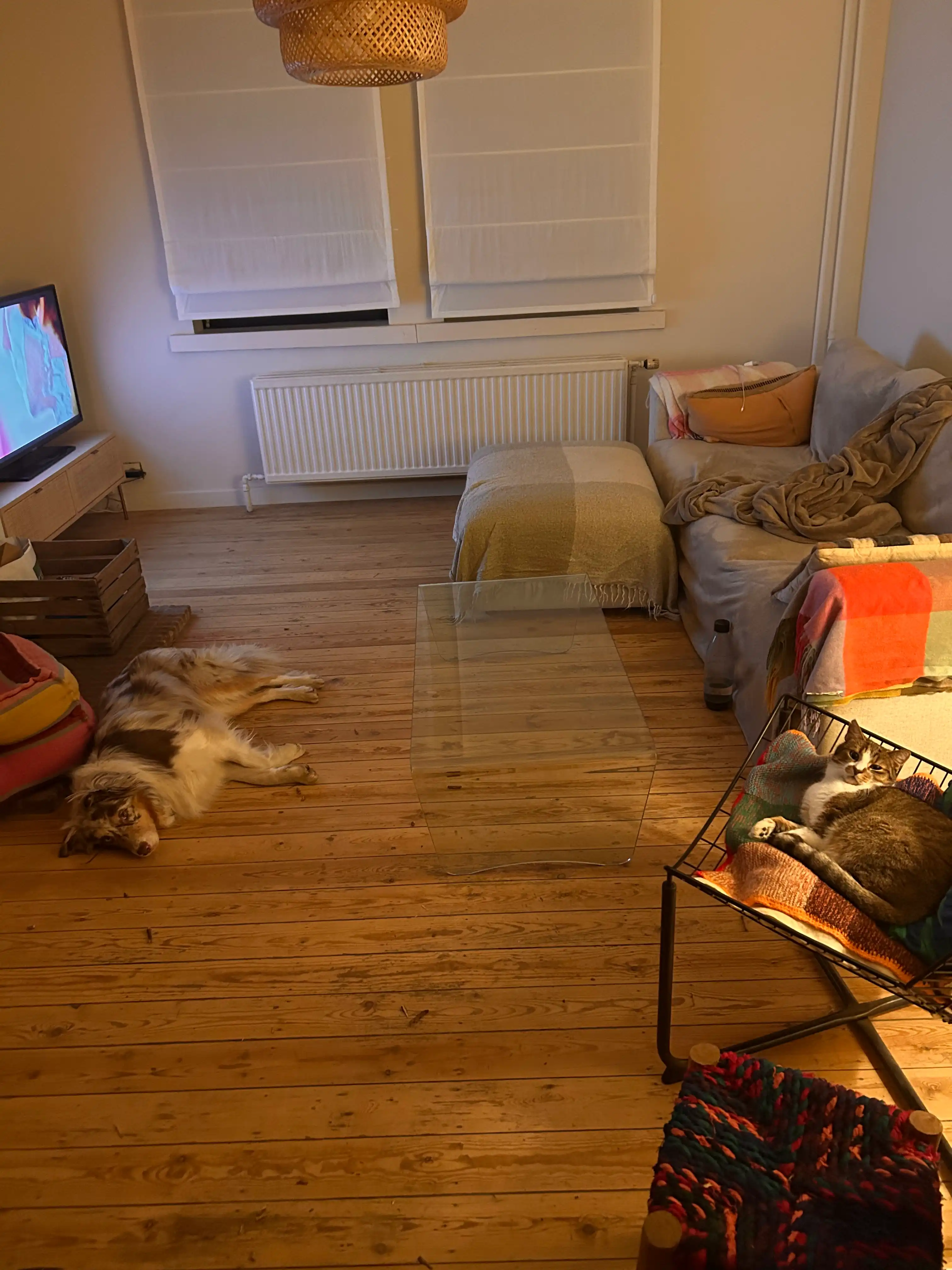 image-19
