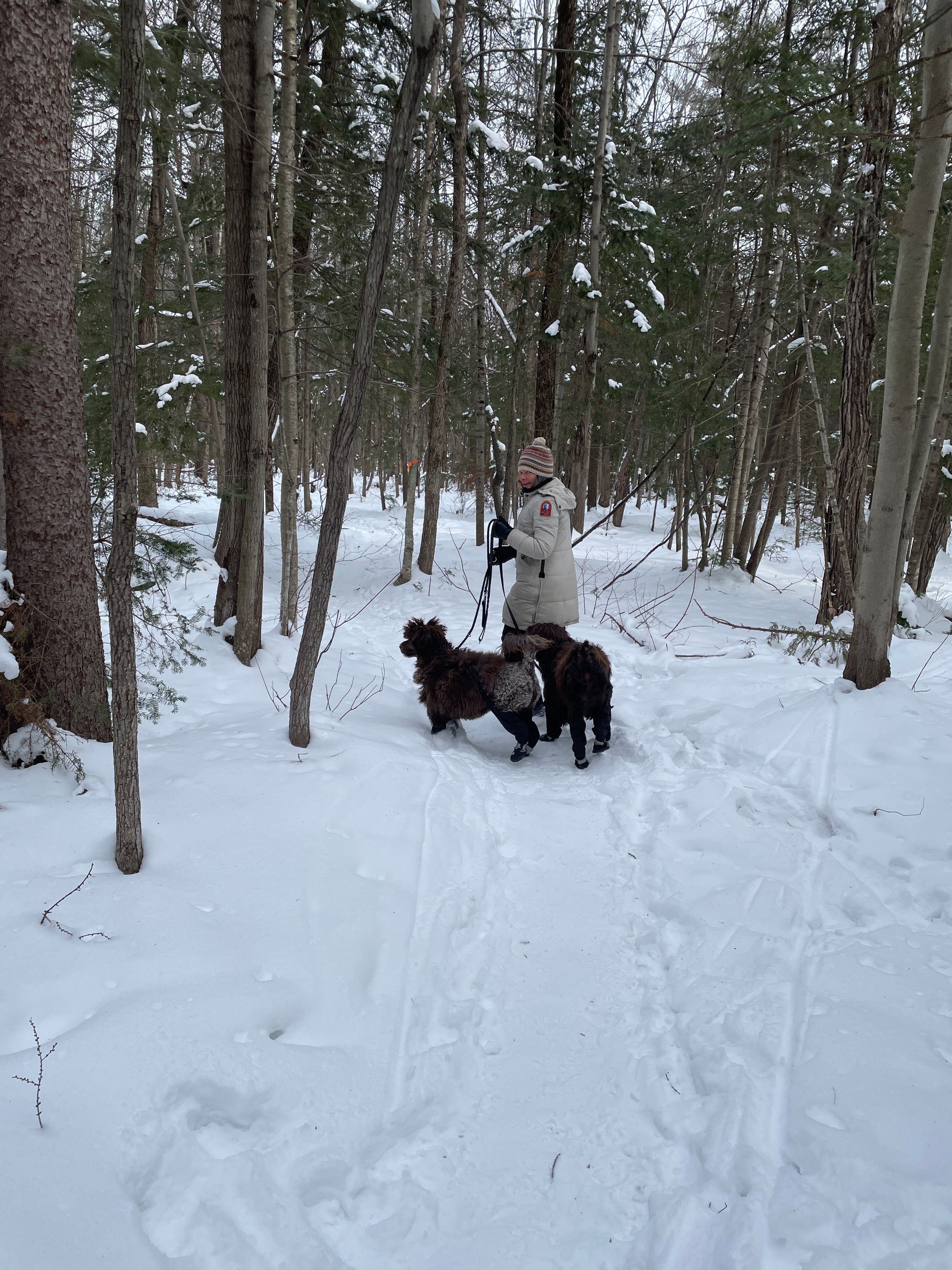 image-20