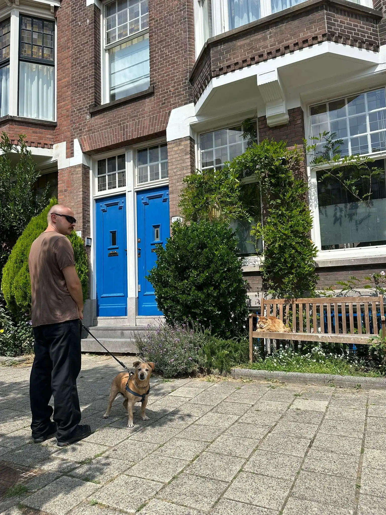 image-11