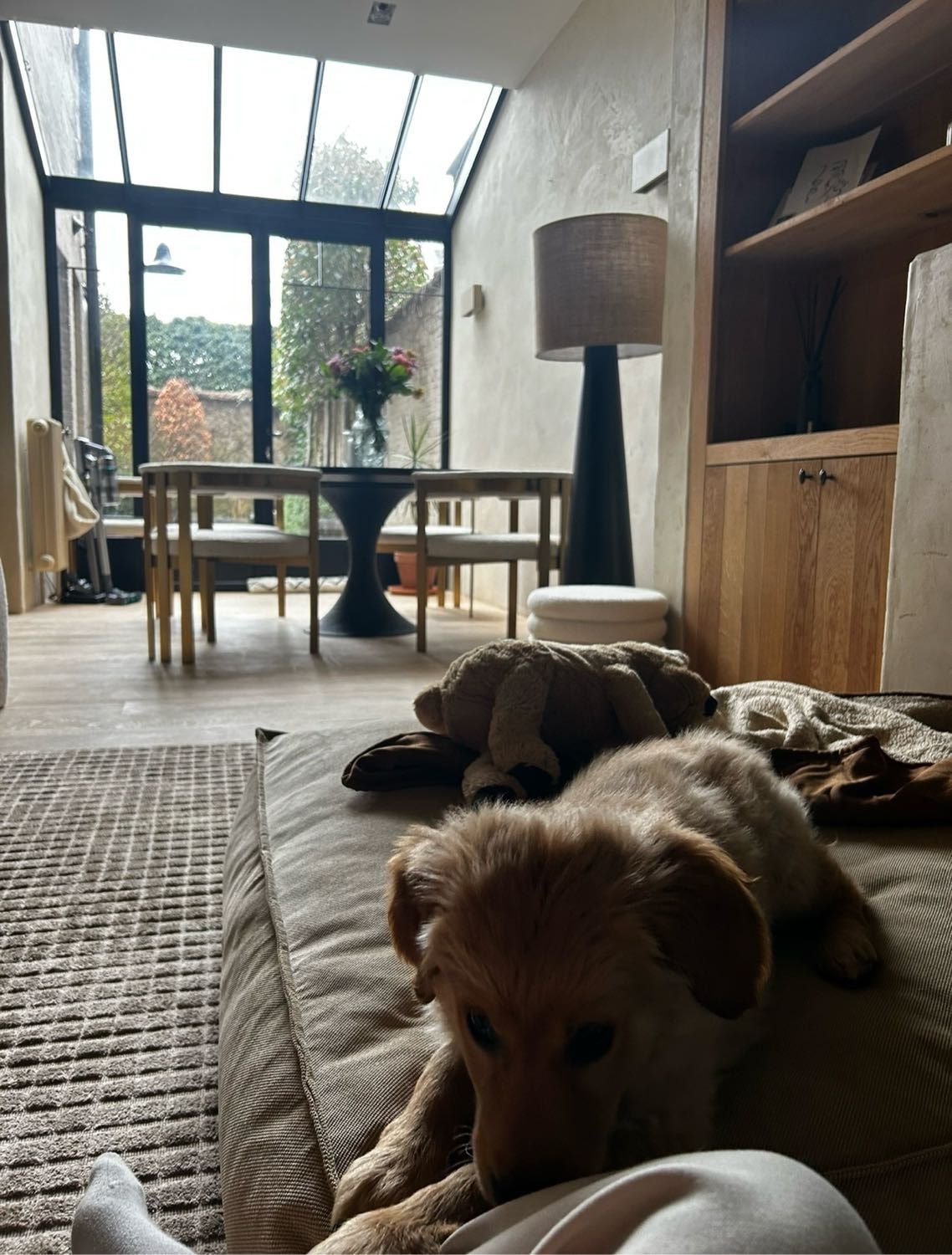 image-7