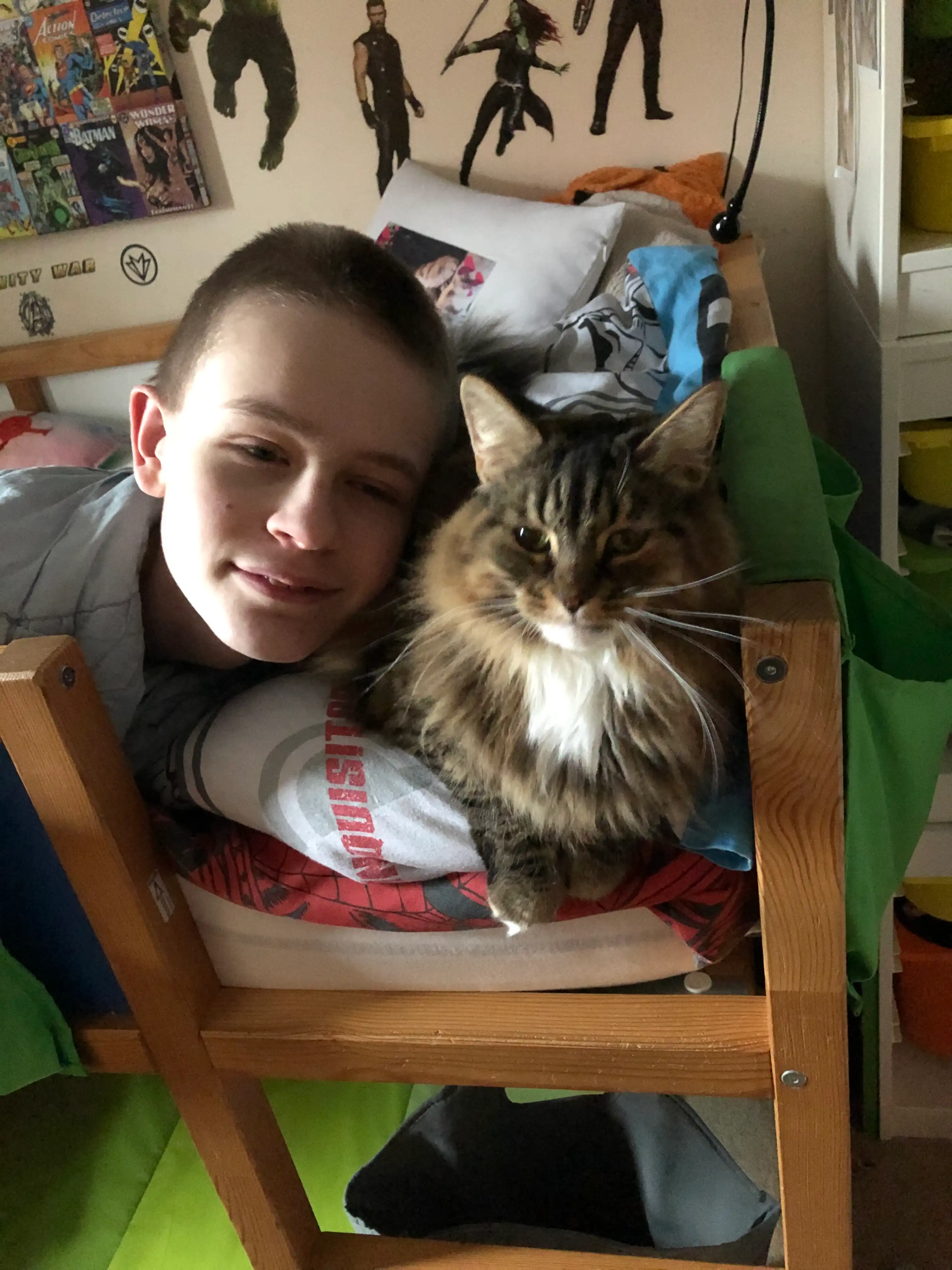 image-6