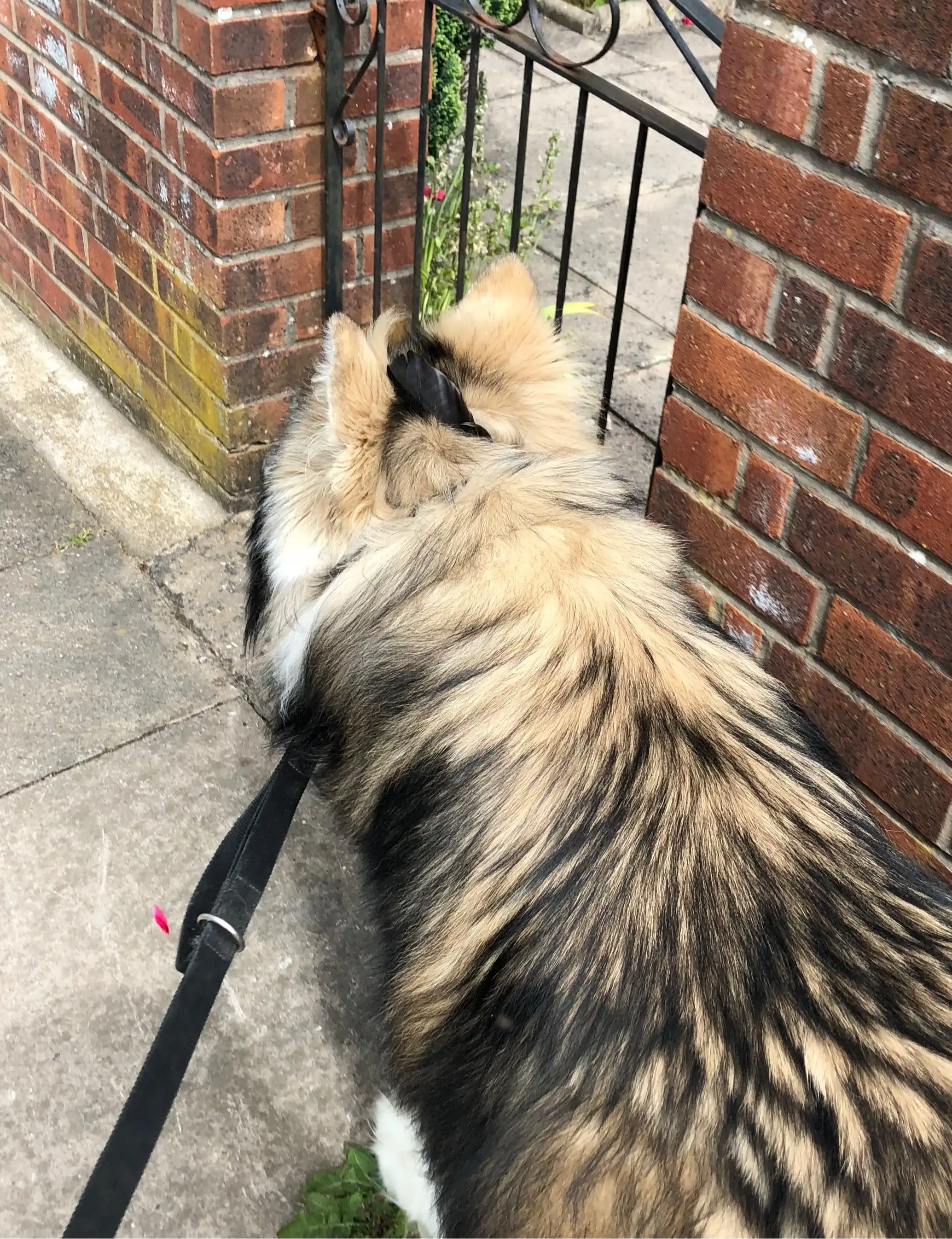 image-10