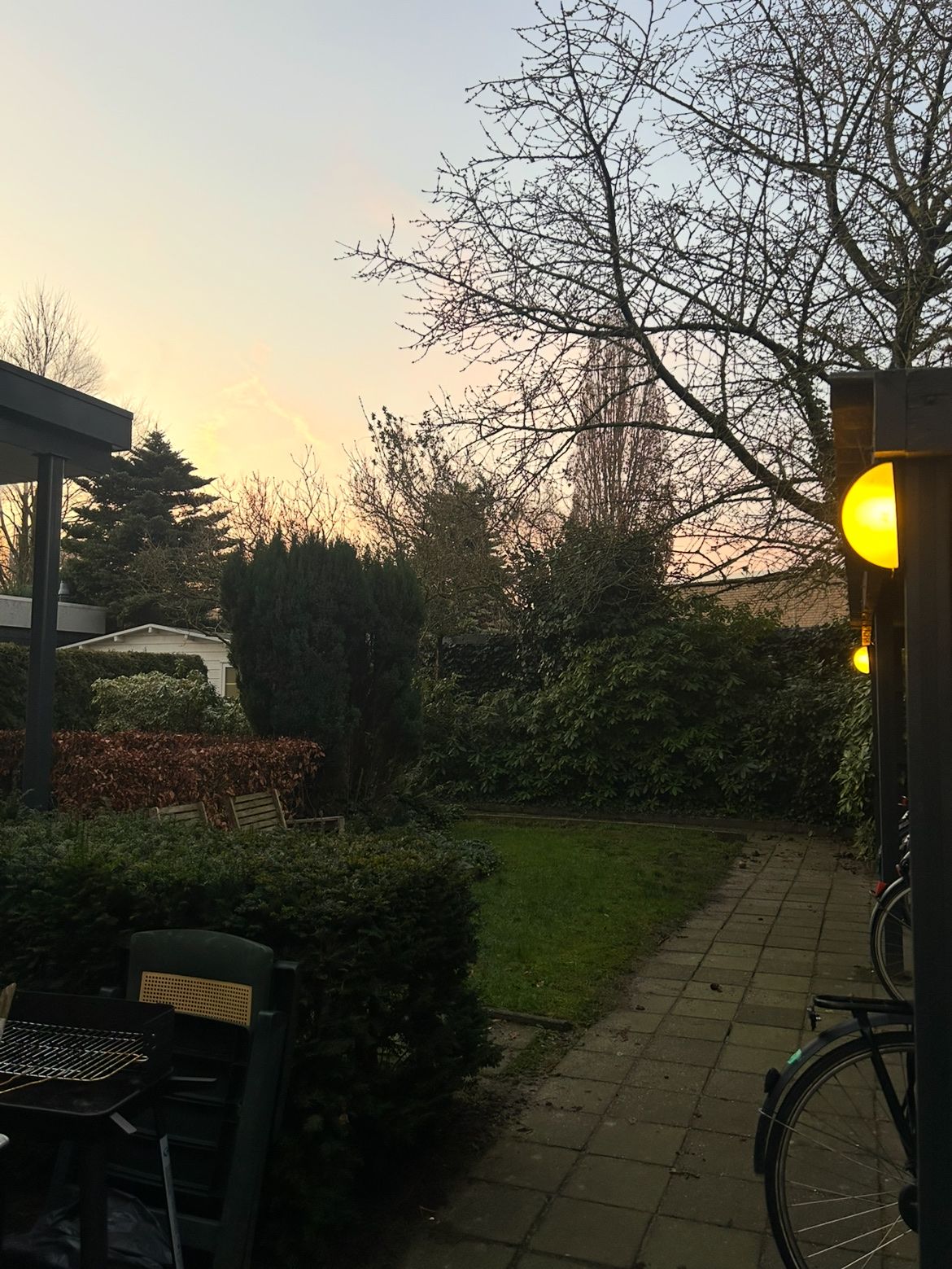 image-7