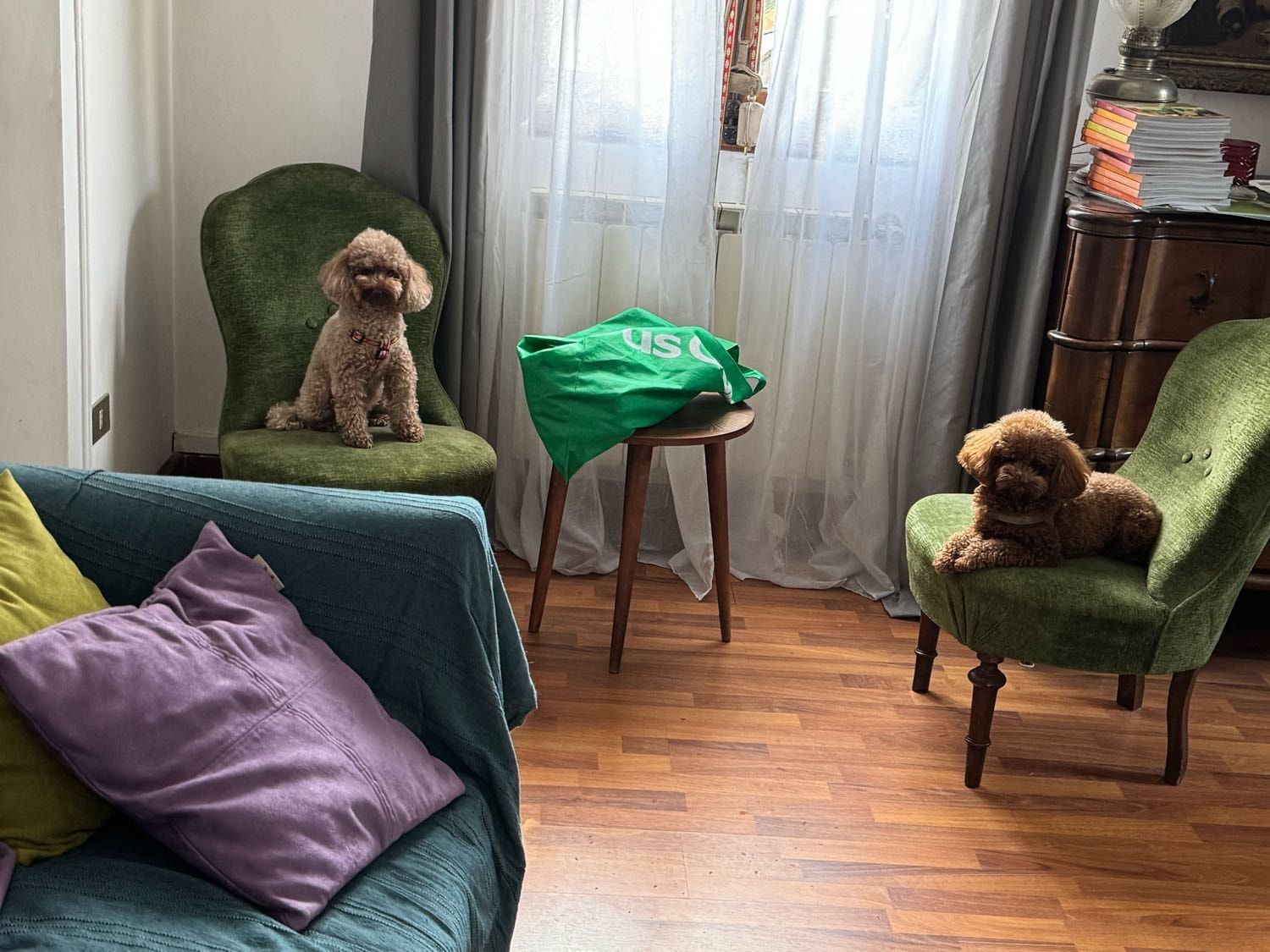 image-12