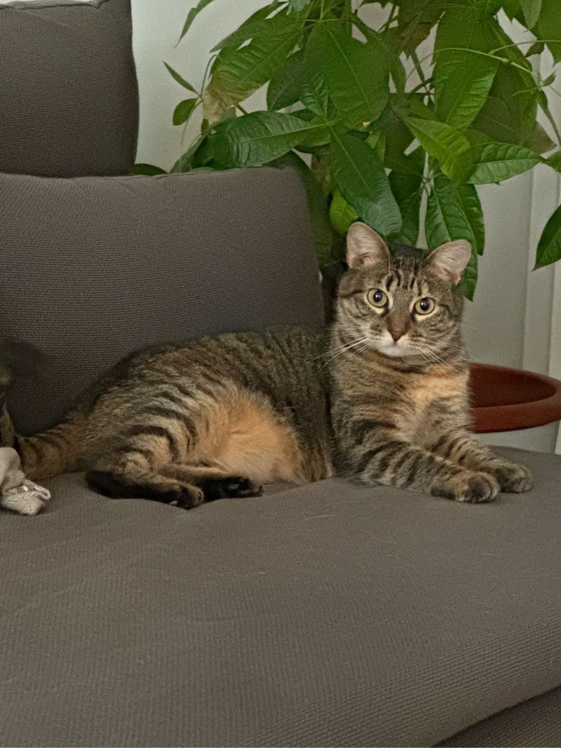 image-10