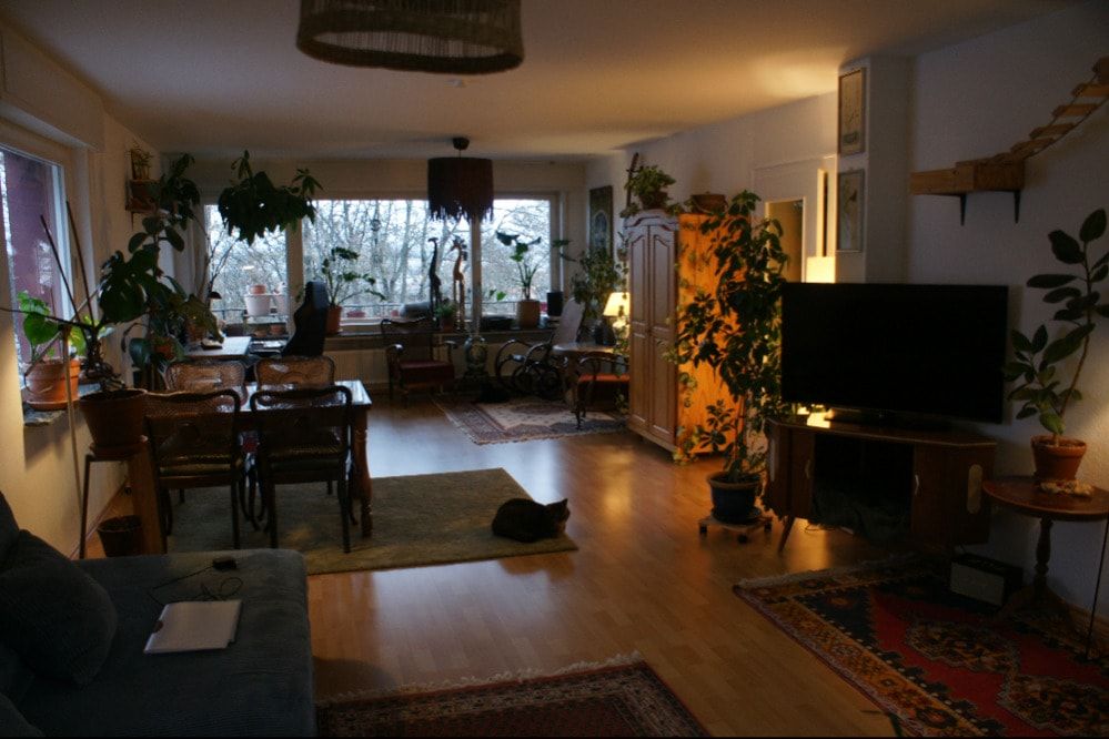 image-29