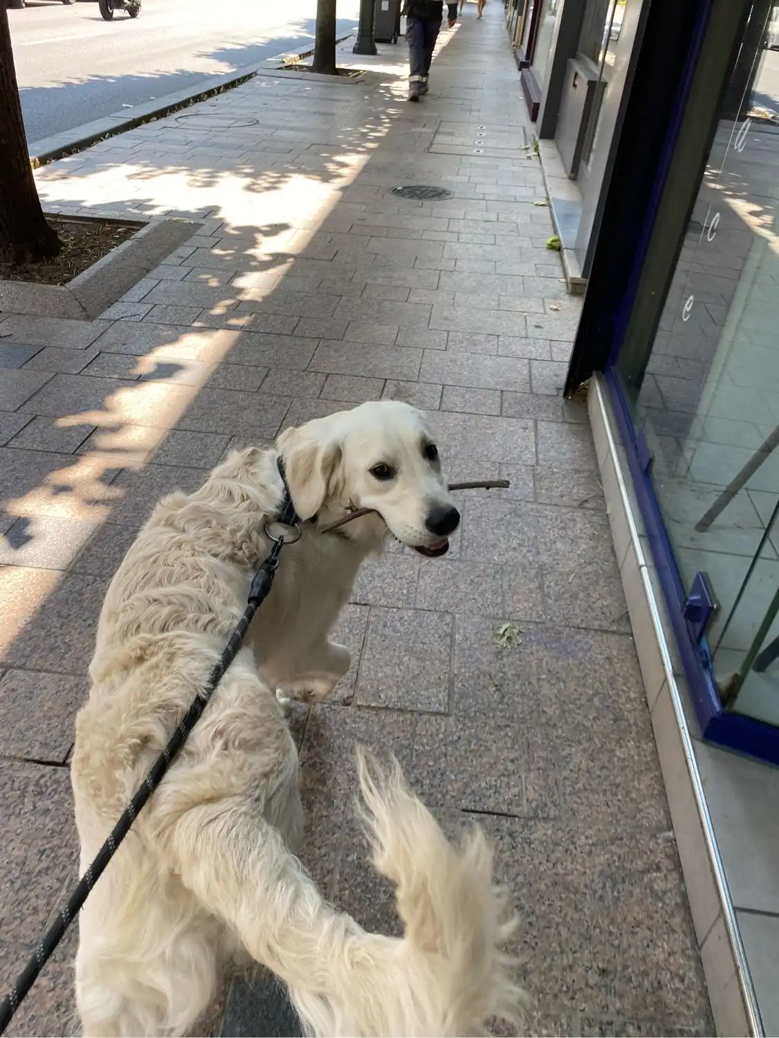 image-16
