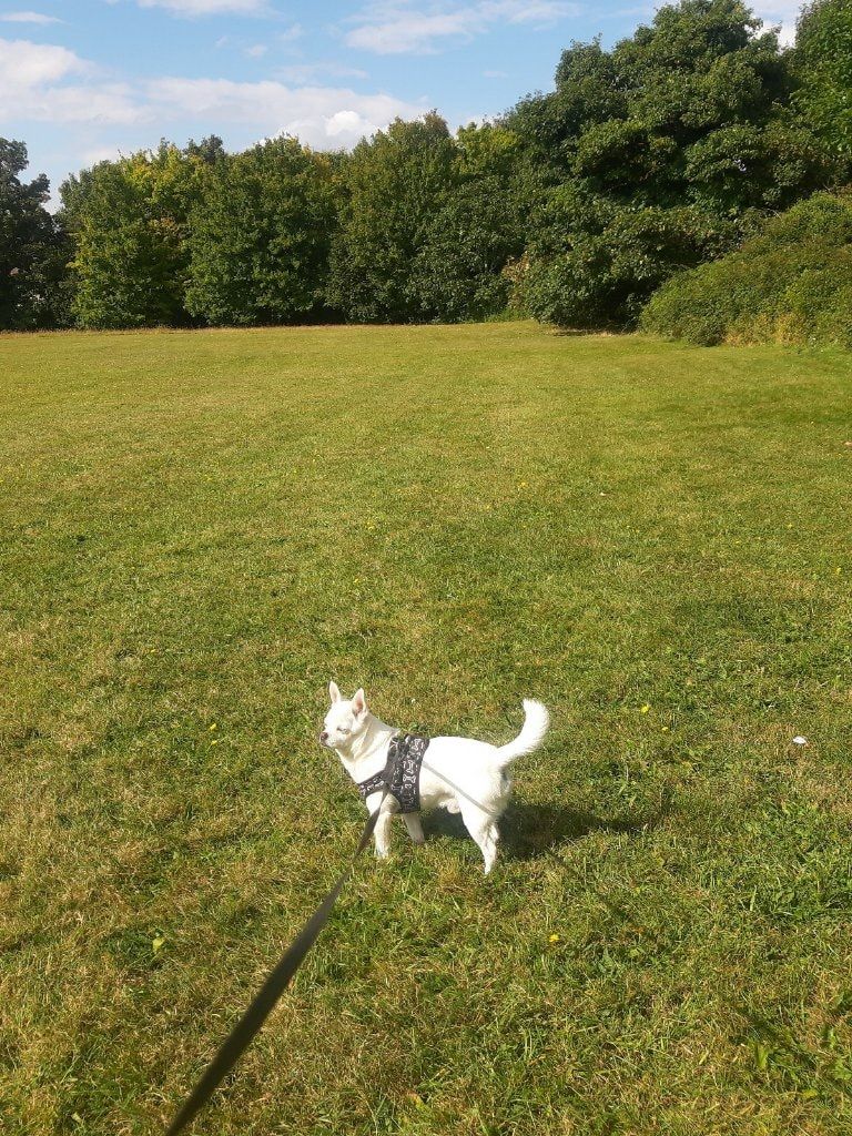 image-13