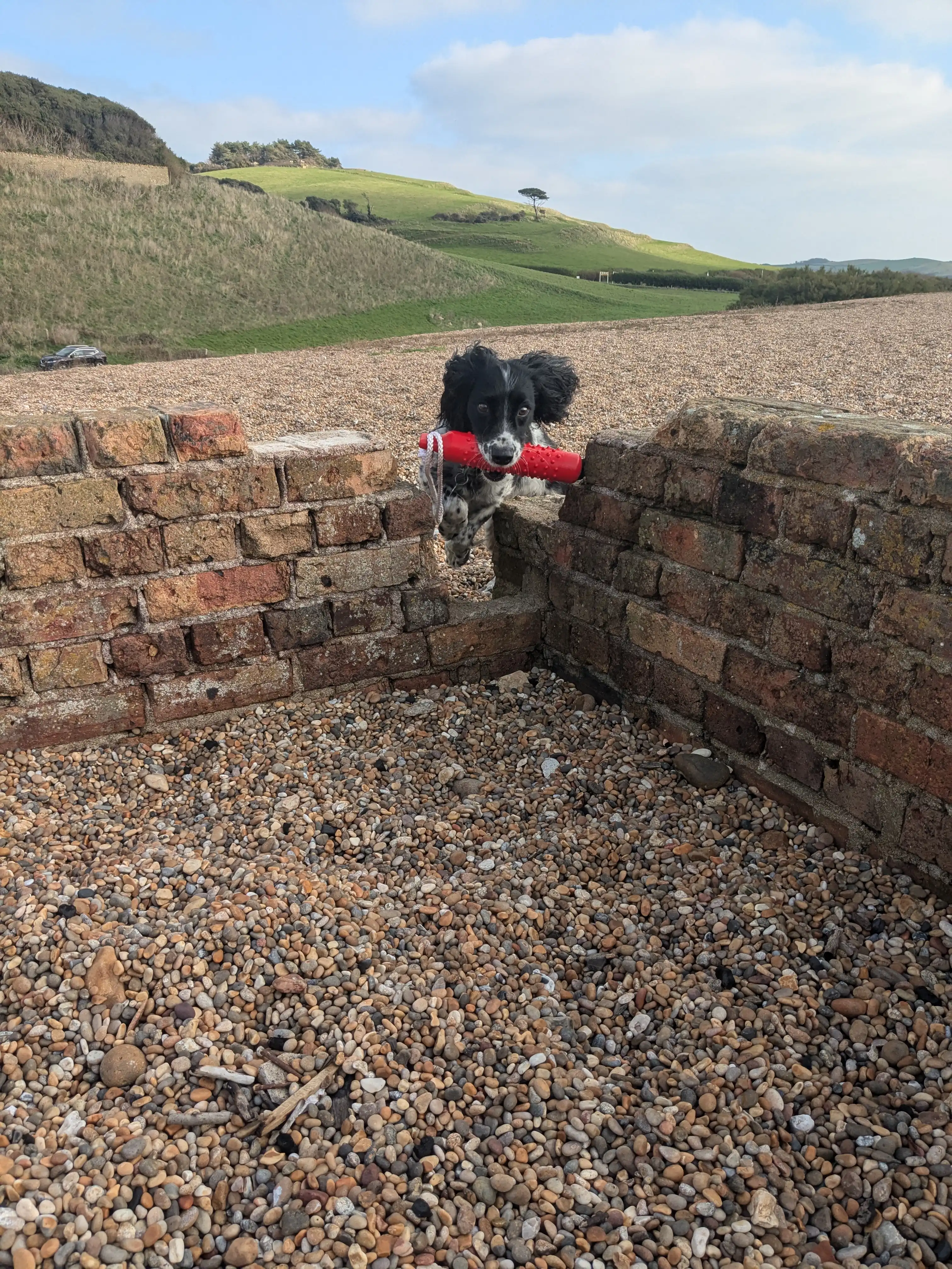 image-11