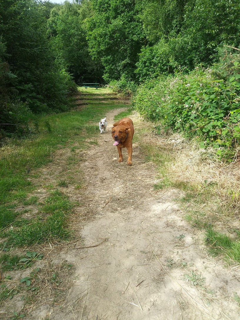 image-12