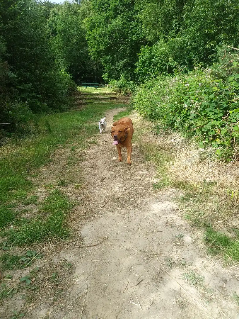 image-12