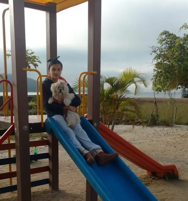 image-3
