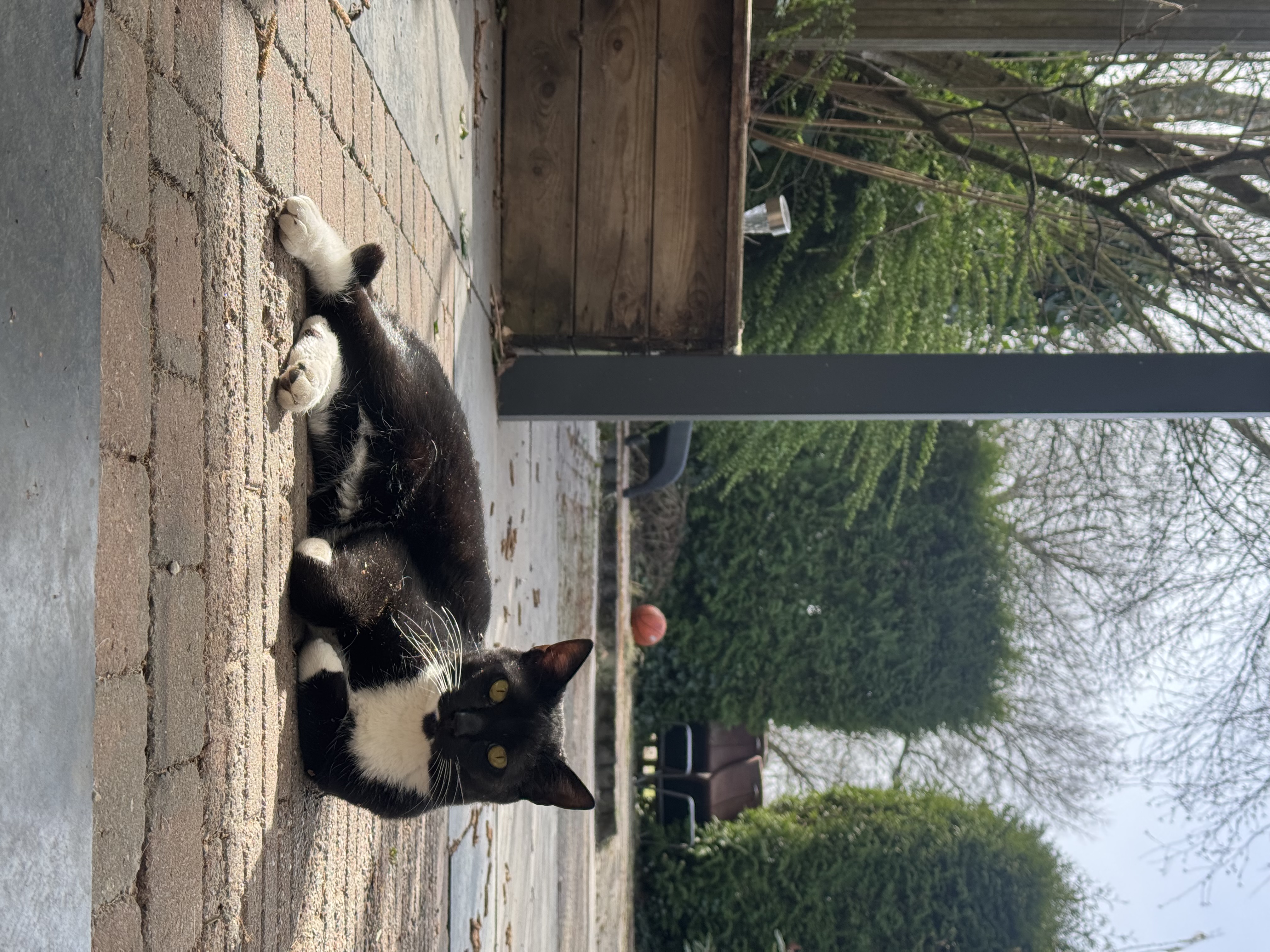 image-16