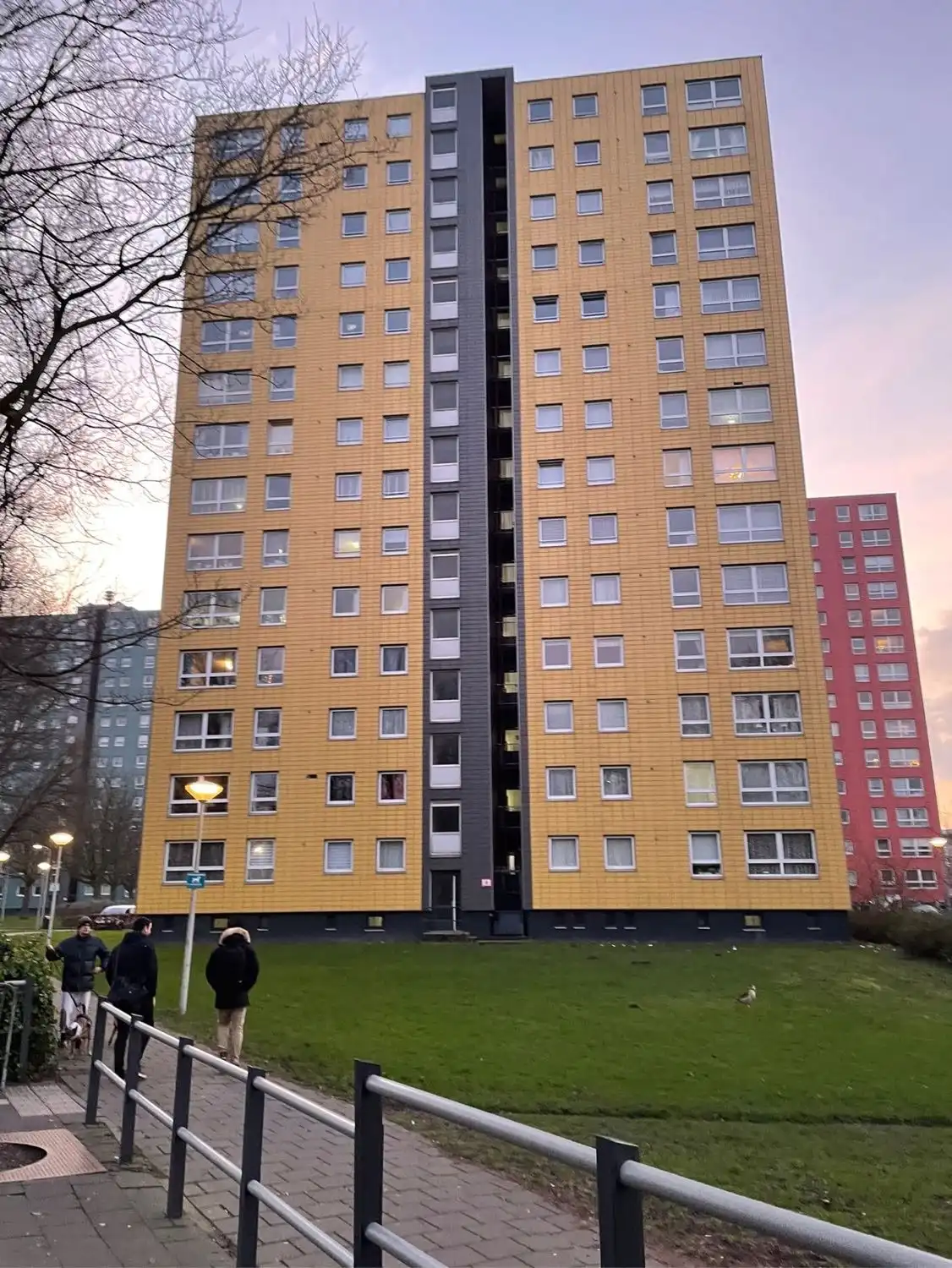 image-6