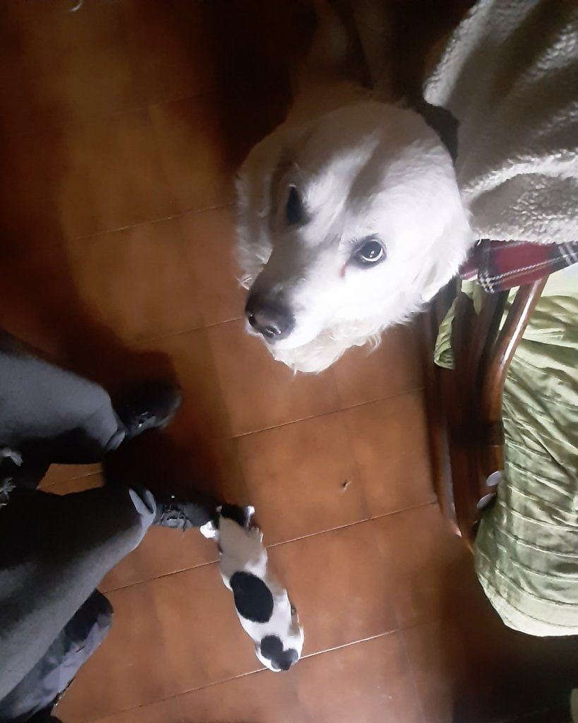 image-17