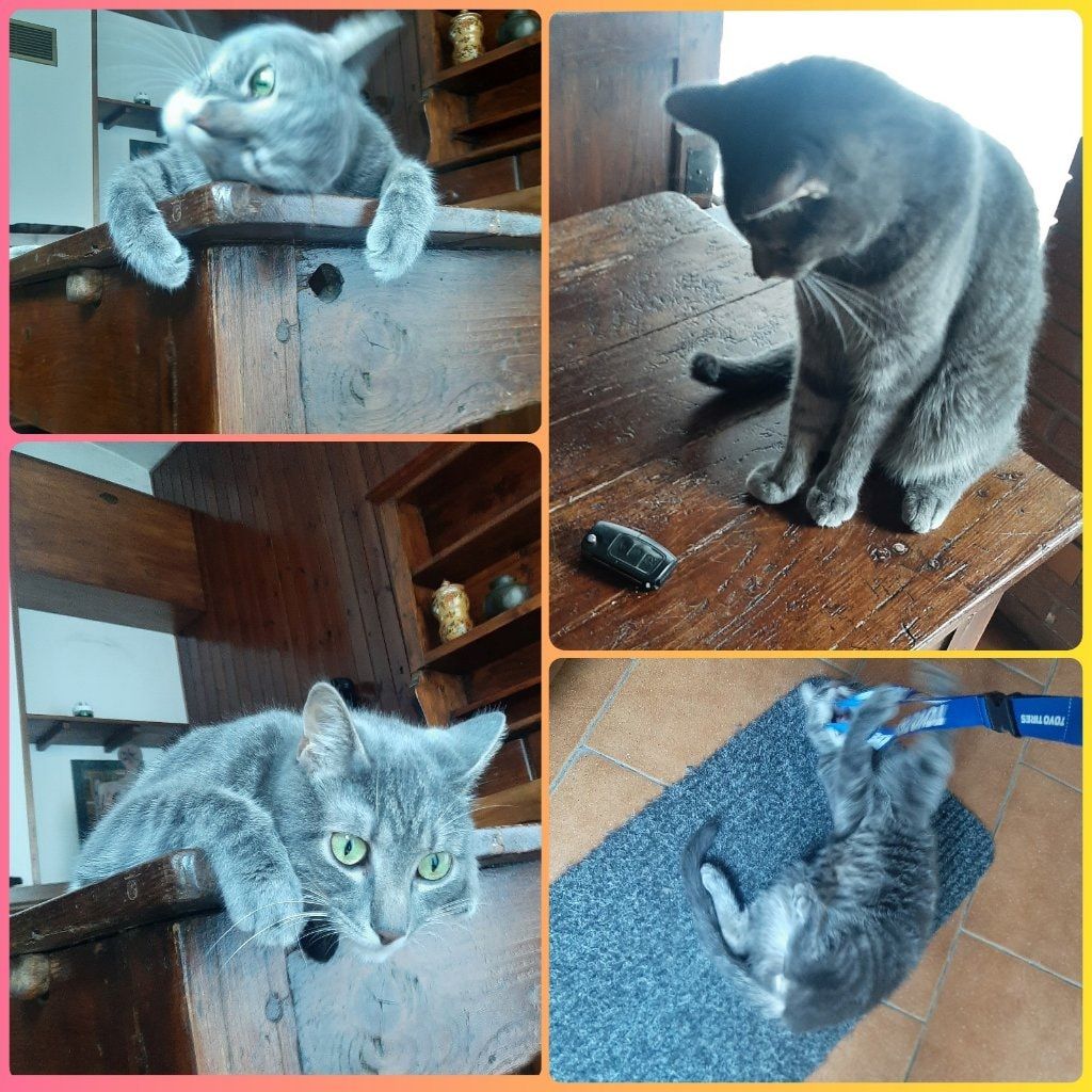 image-14