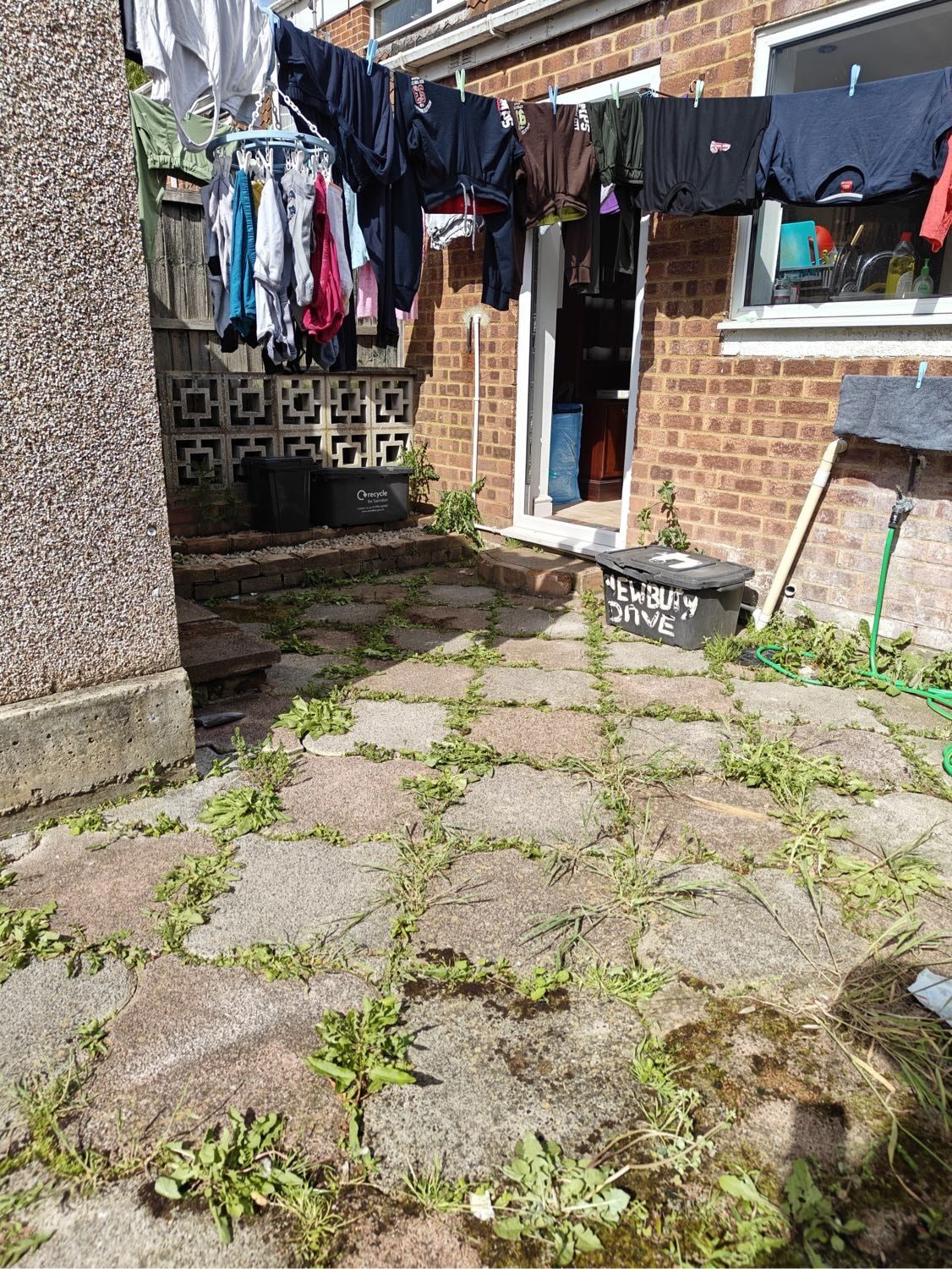 image-16