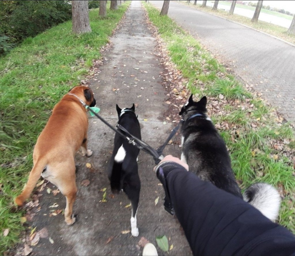 image-18