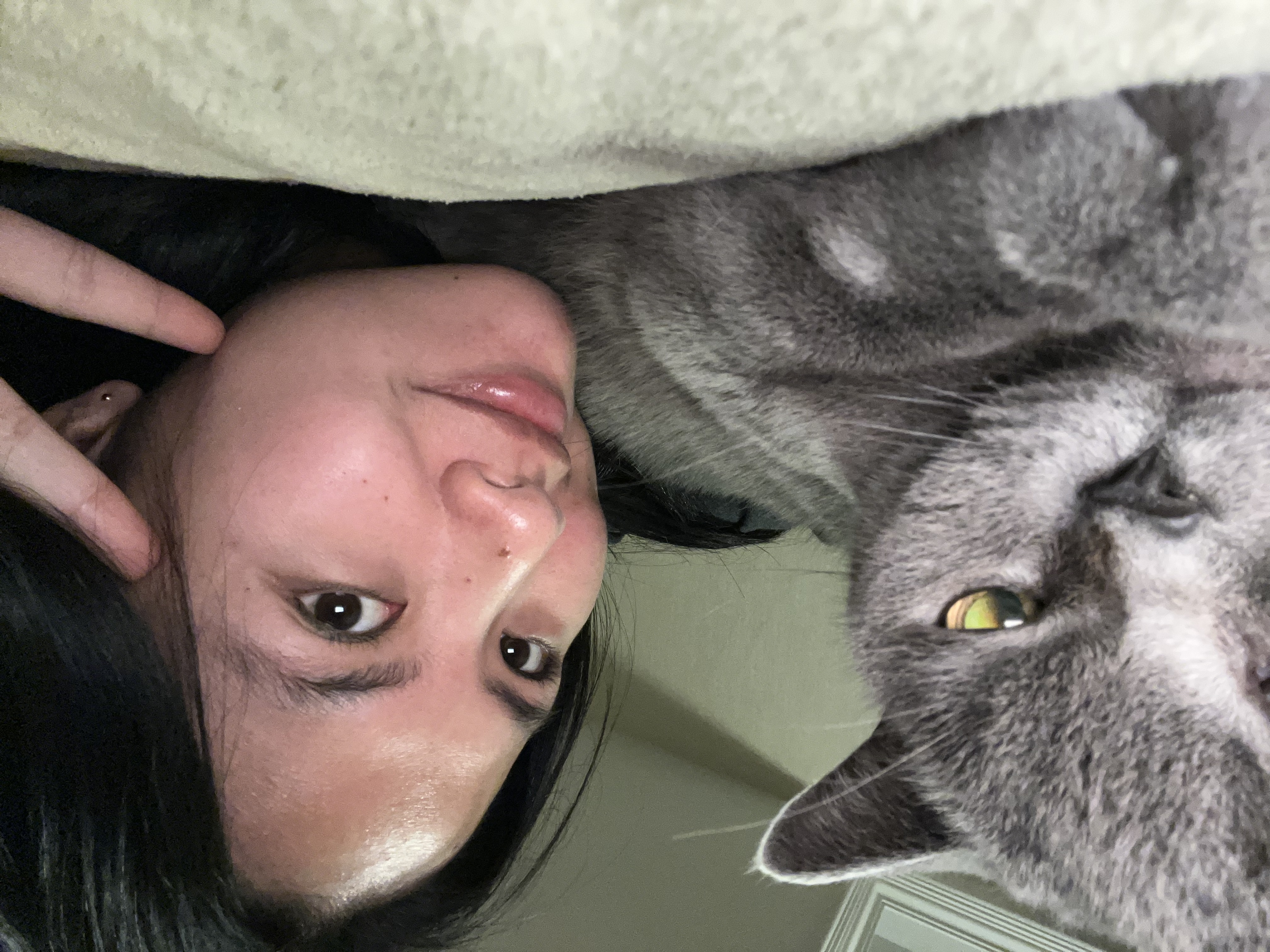 image-6