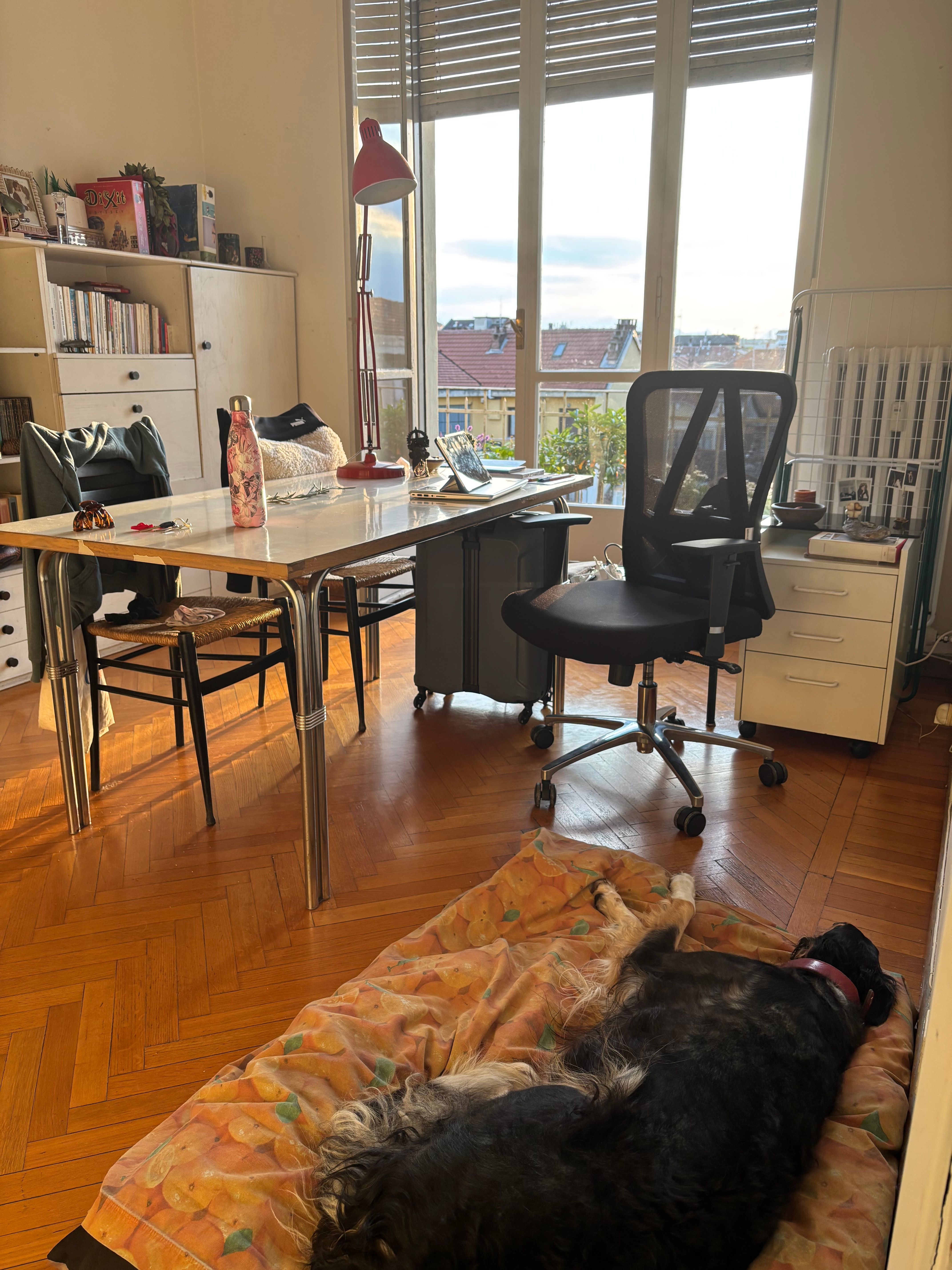 image-12
