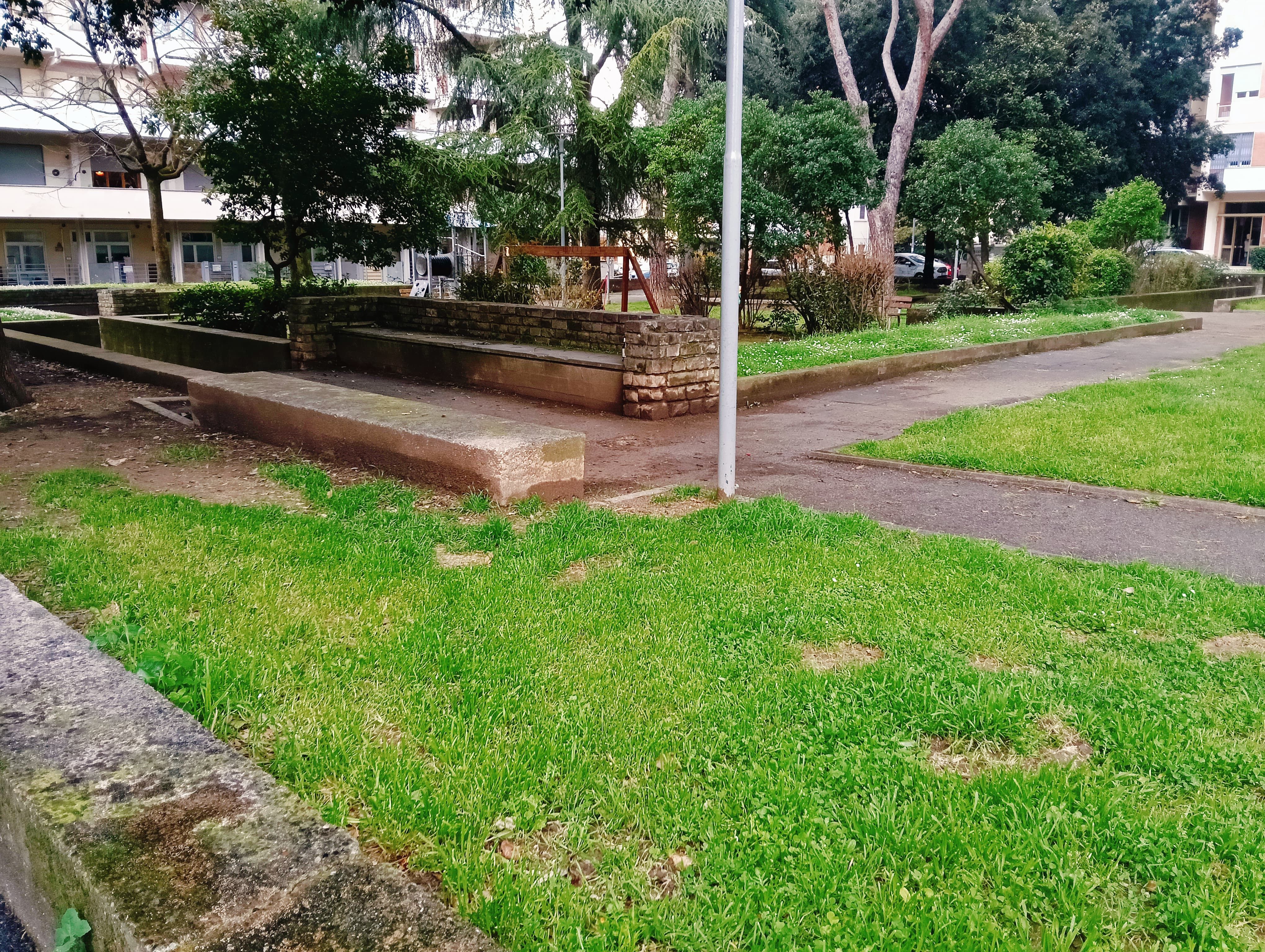 image-21