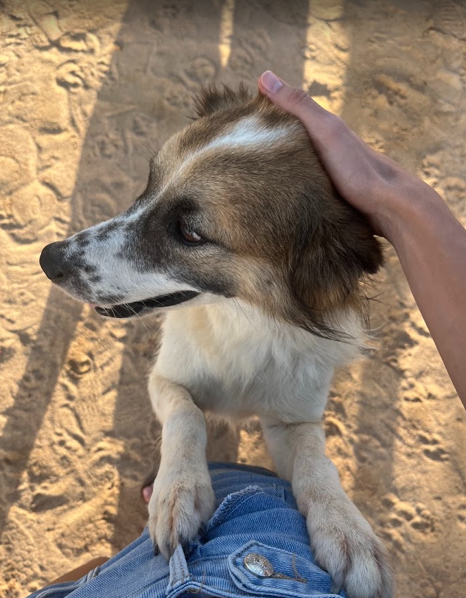 image-6